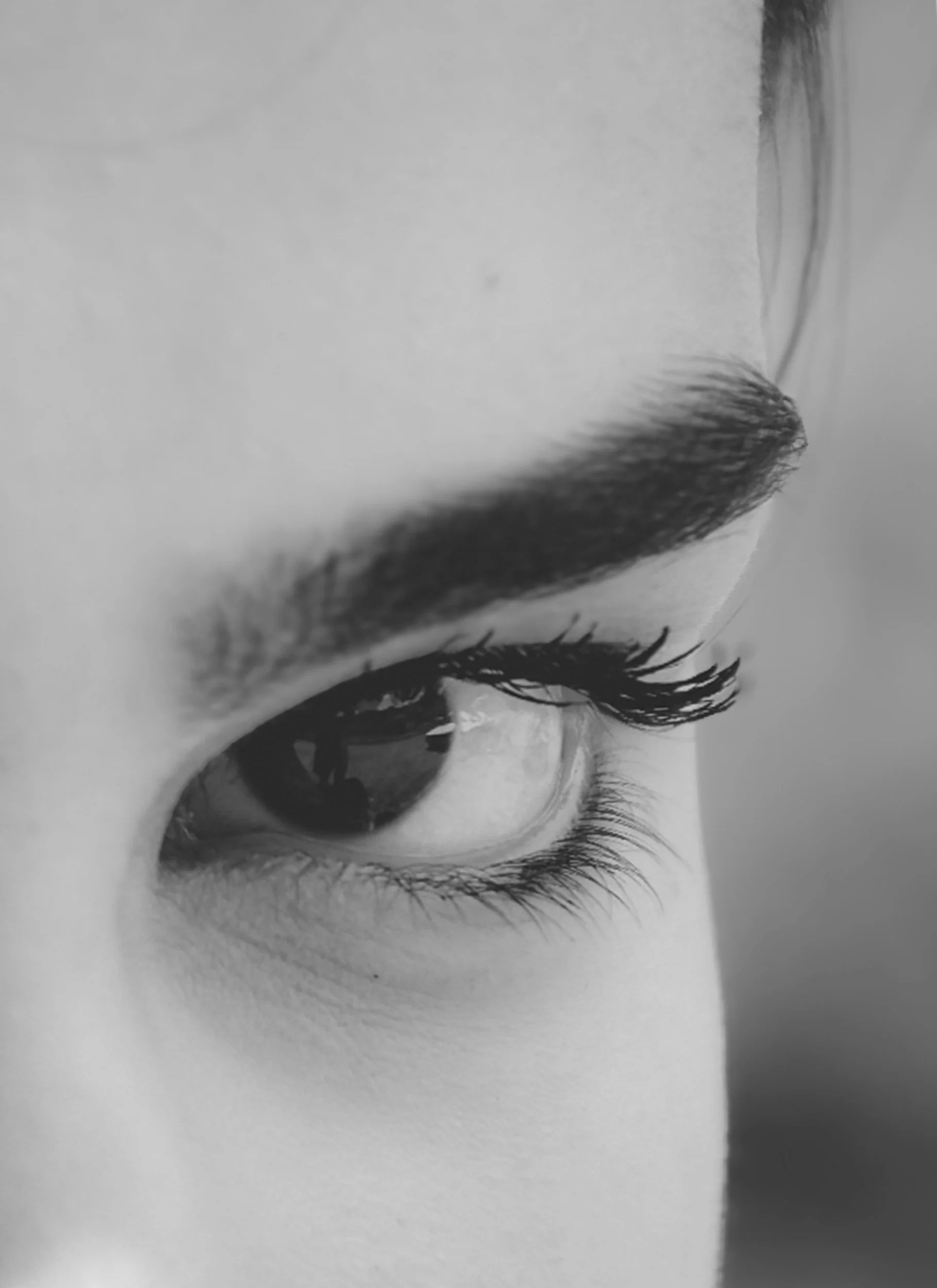 Close-up of a person's eye and eyebrow in black and white, with focus on the eyelashes and reflection in the eye.