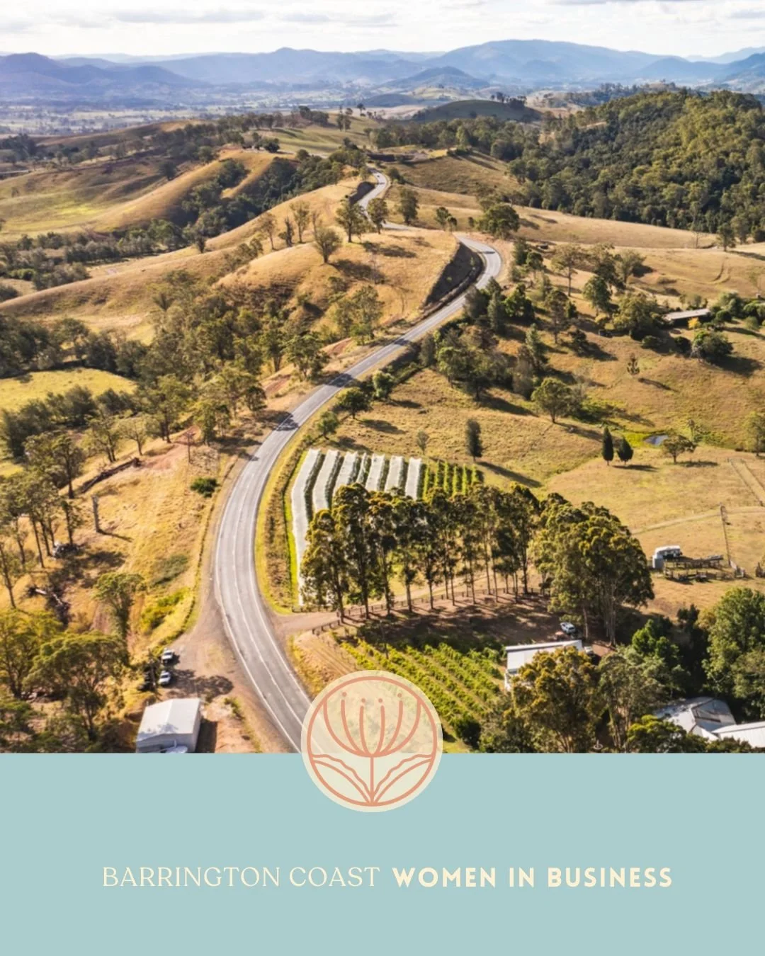 Aerial view of rolling hills with a winding road and scattered trees in a rural landscape, with mountains in the background.