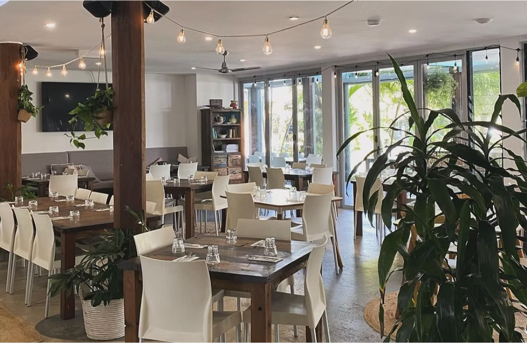 Bright, airy restaurant with wooden tables, white chairs, large windows, and hanging string lights. Potted plants are visible, creating a cozy atmosphere.