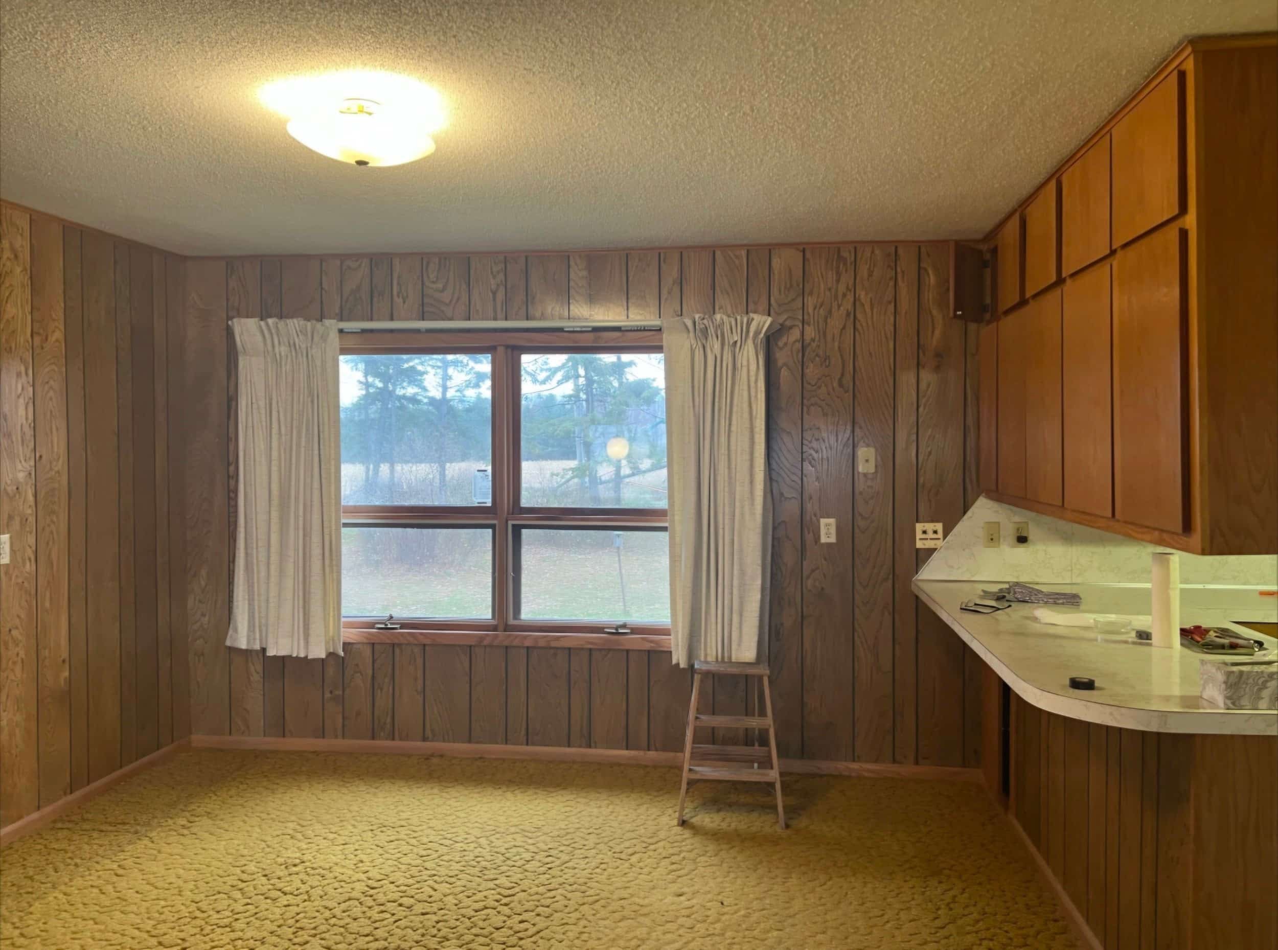 Garage door replacement and interior finish Hudson WI home addition