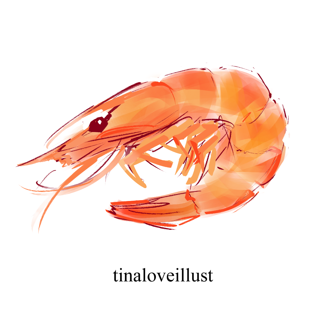 2024-05-20_shrimp.png