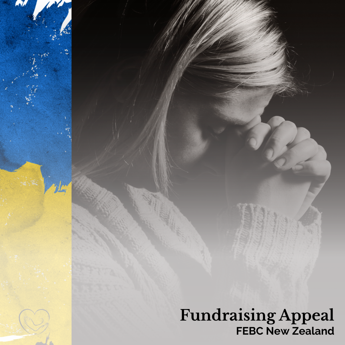 Fundraising appeal: FEBC