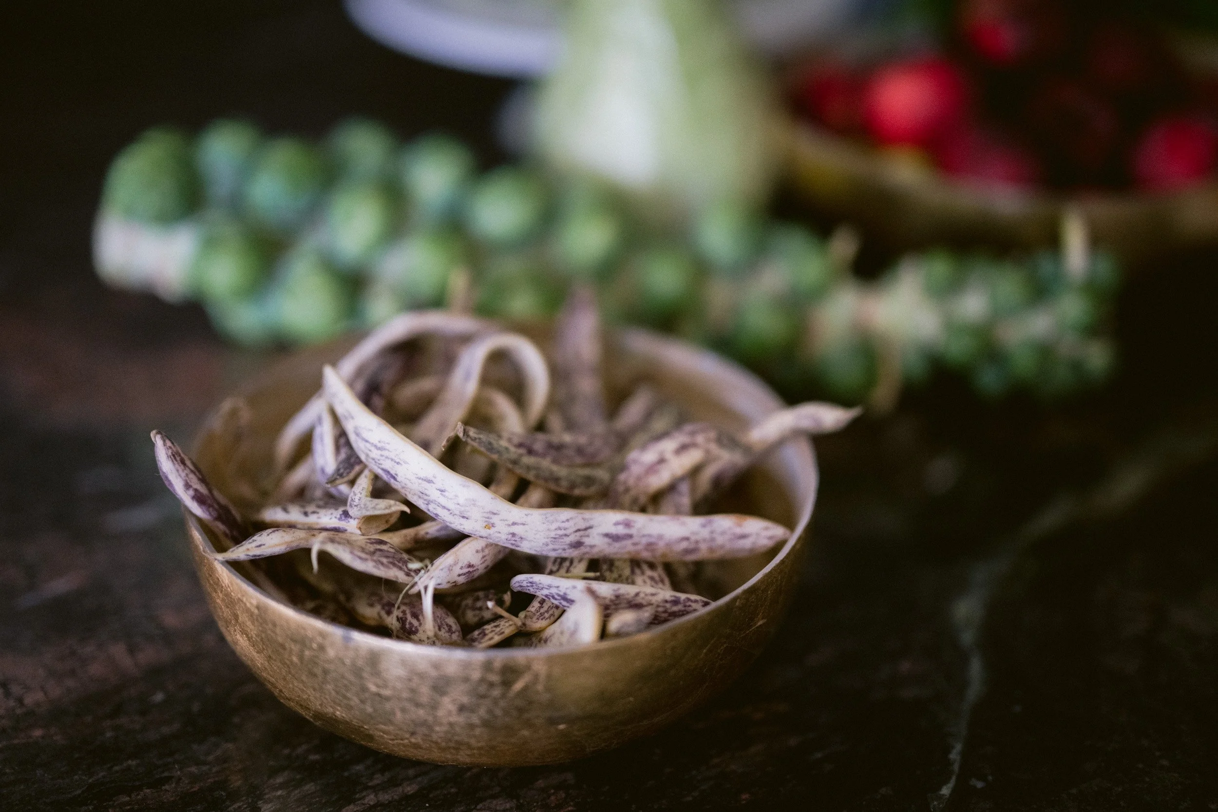 Katarina Fall 2022 Portraits WEB-3846.jpg