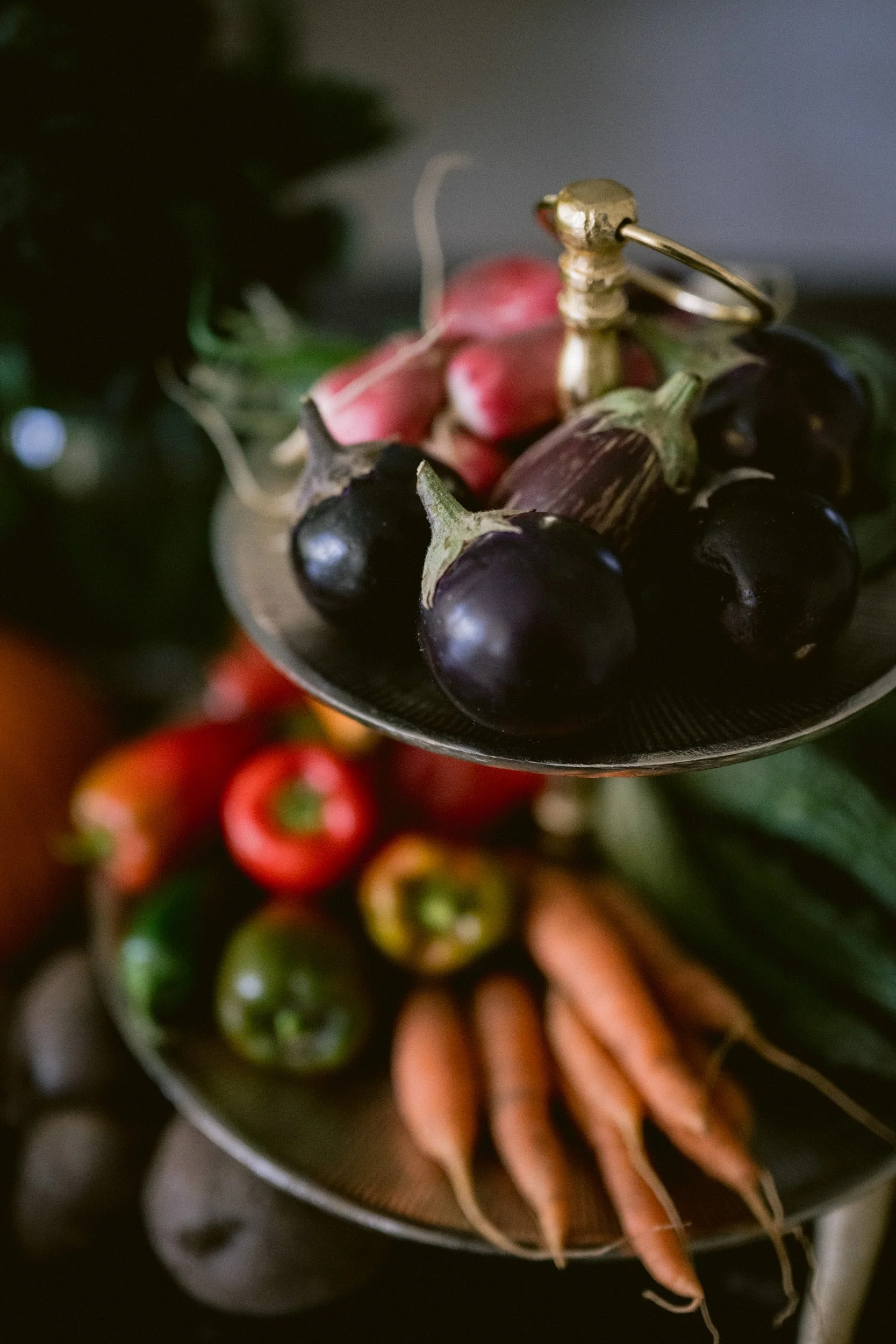 Katarina Fall 2022 Portraits WEB-3847.jpg