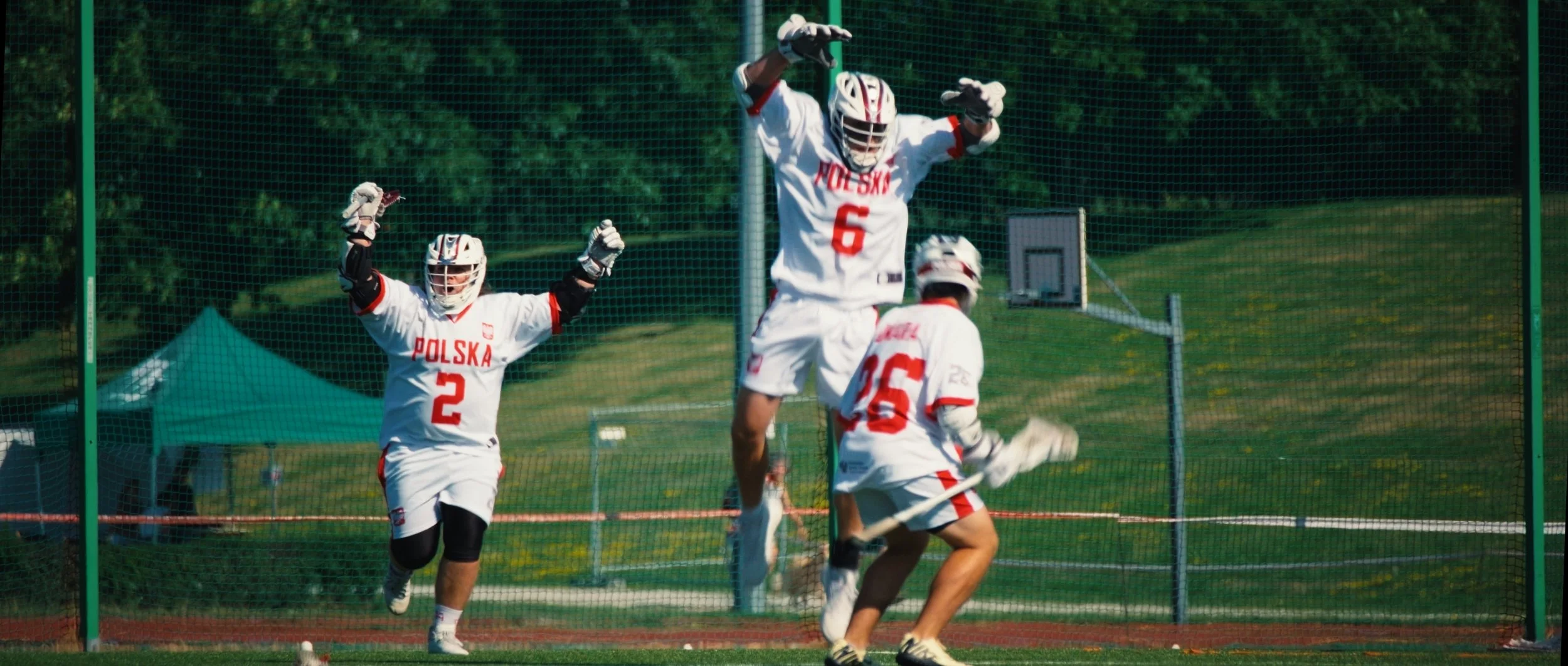 Lacrosse players in white and red jerseys celebrating on a field, with one jumping and three others cheering, behind a net.