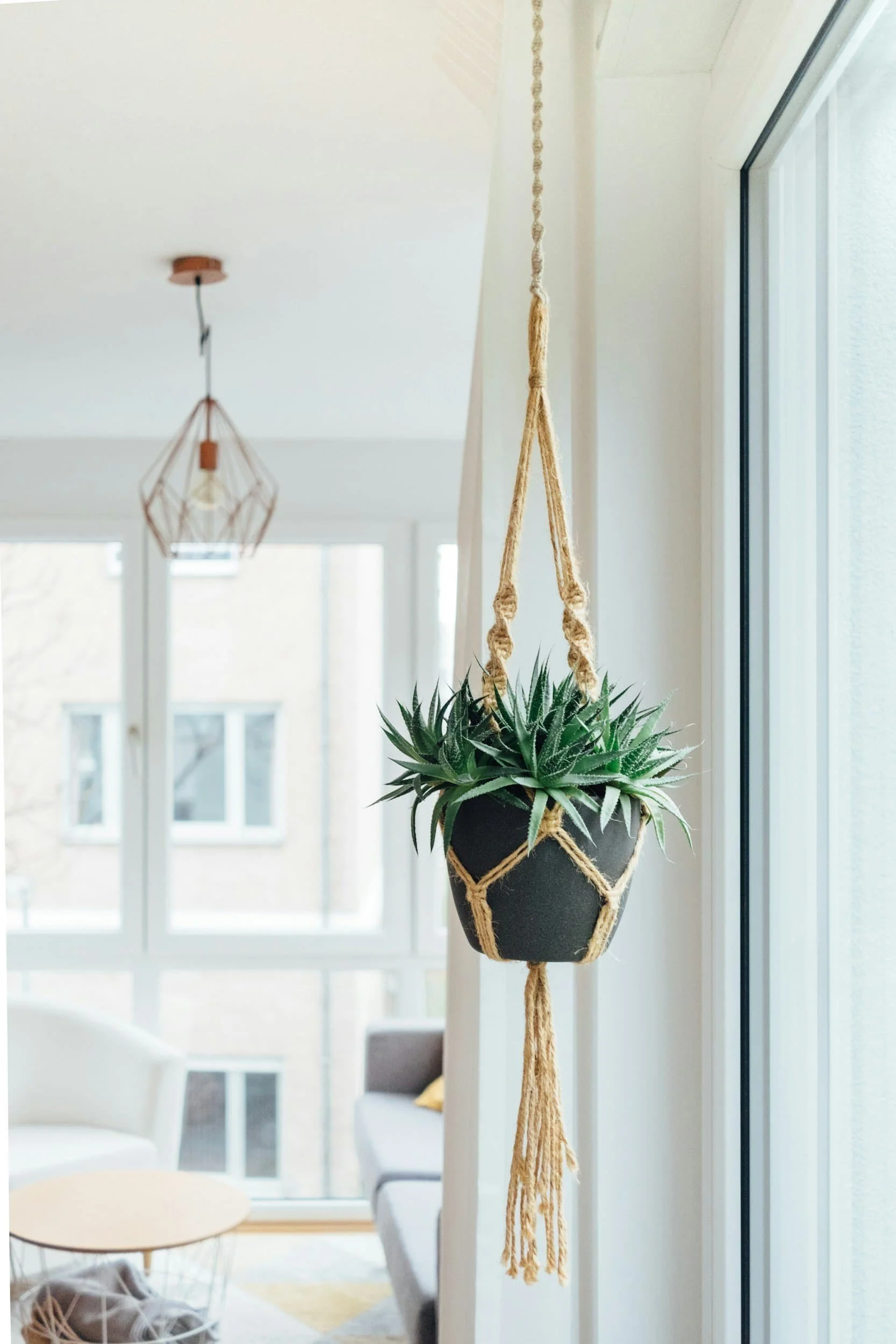 Bright room with hanging plants in an empowering therapy practice