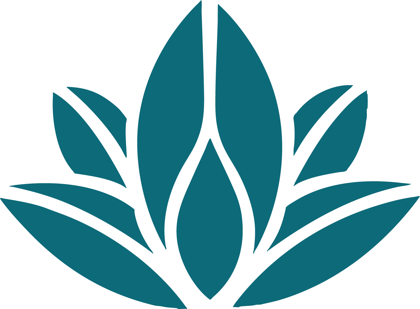 Lotus blooming