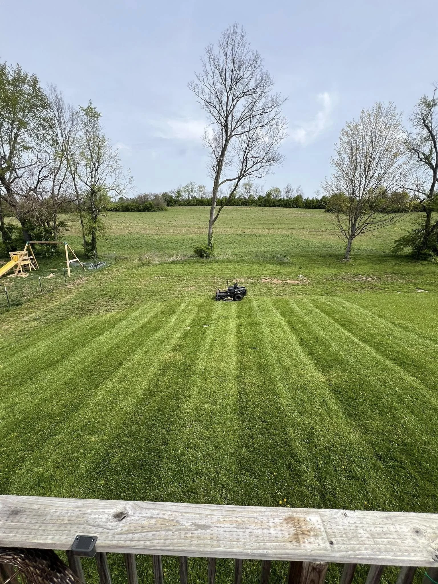 Basic Lawn Maintenance