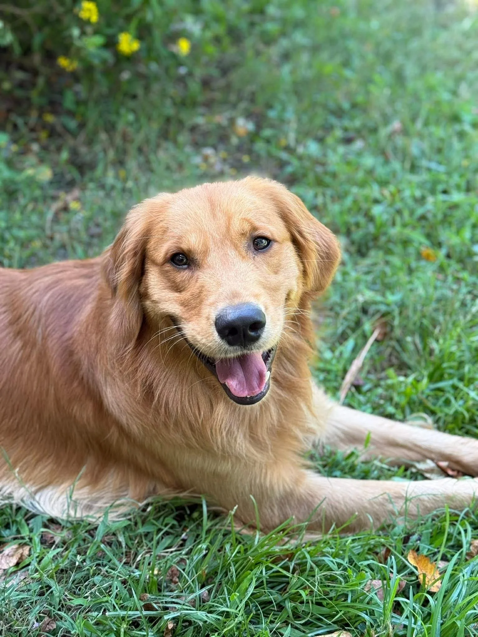 19-sandy-simoneaux-midwife-jacksonville-home-birth.jfif