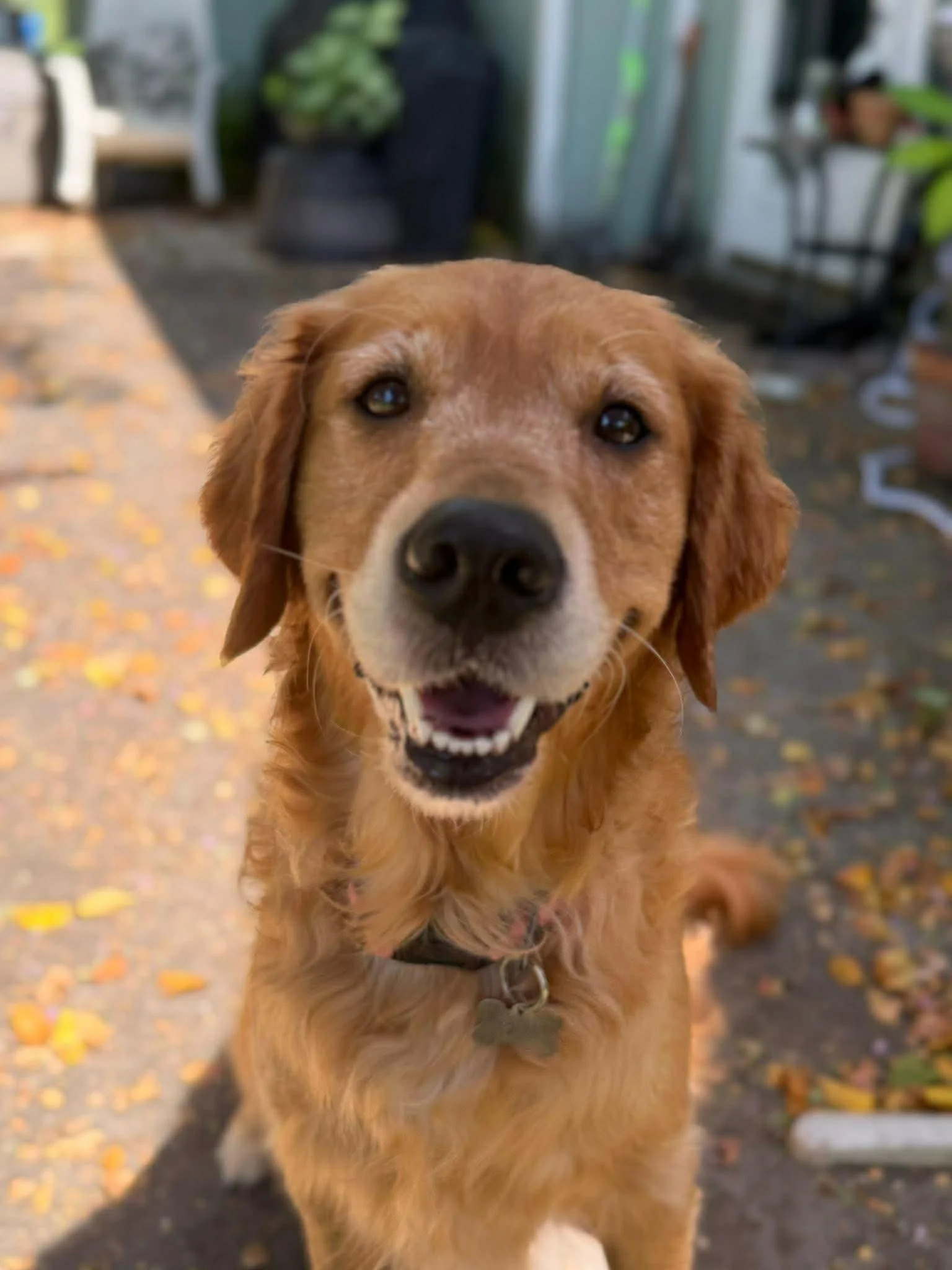 20-sandy-simoneaux-midwife-jacksonville-home-birth.jfif