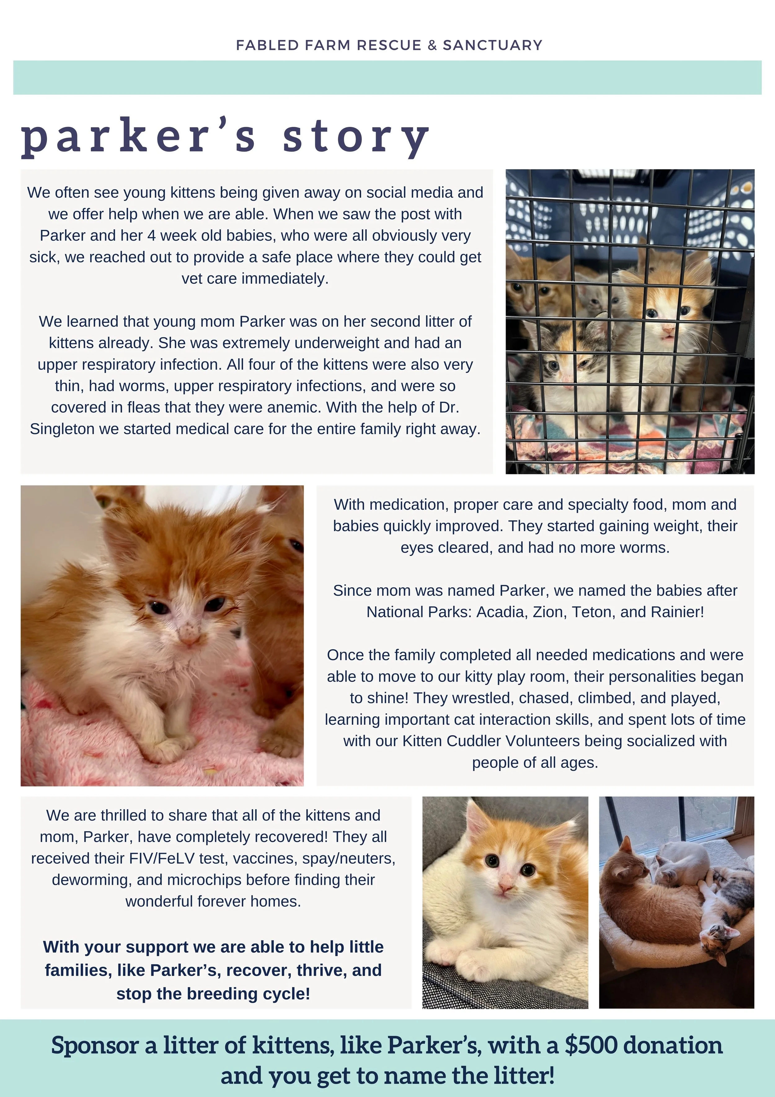 Fabled Farm Spring Newsletter 2025