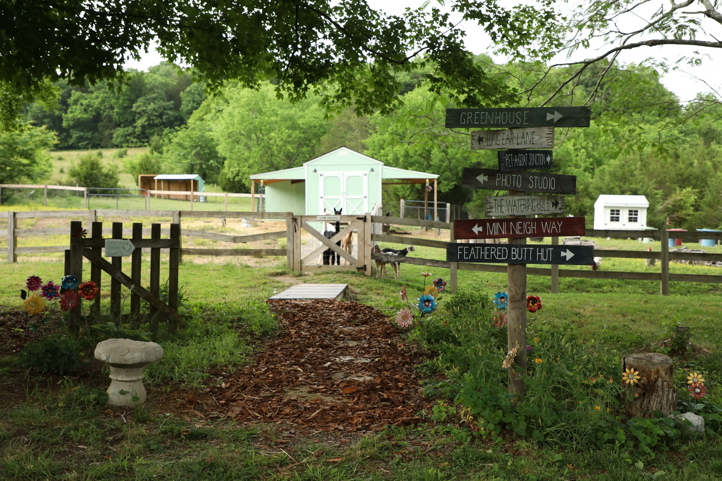 Garden and goat barn