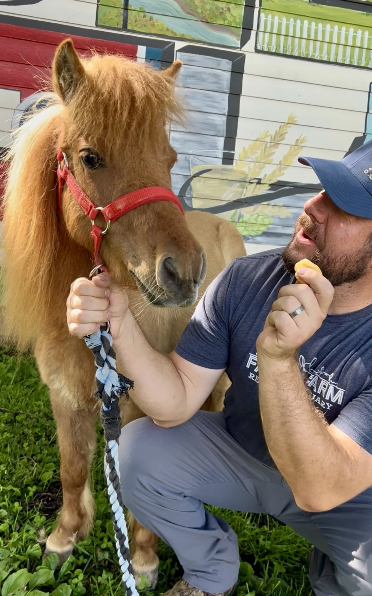 Volunteers working at Fabled Farm Rescue & Sanctuary