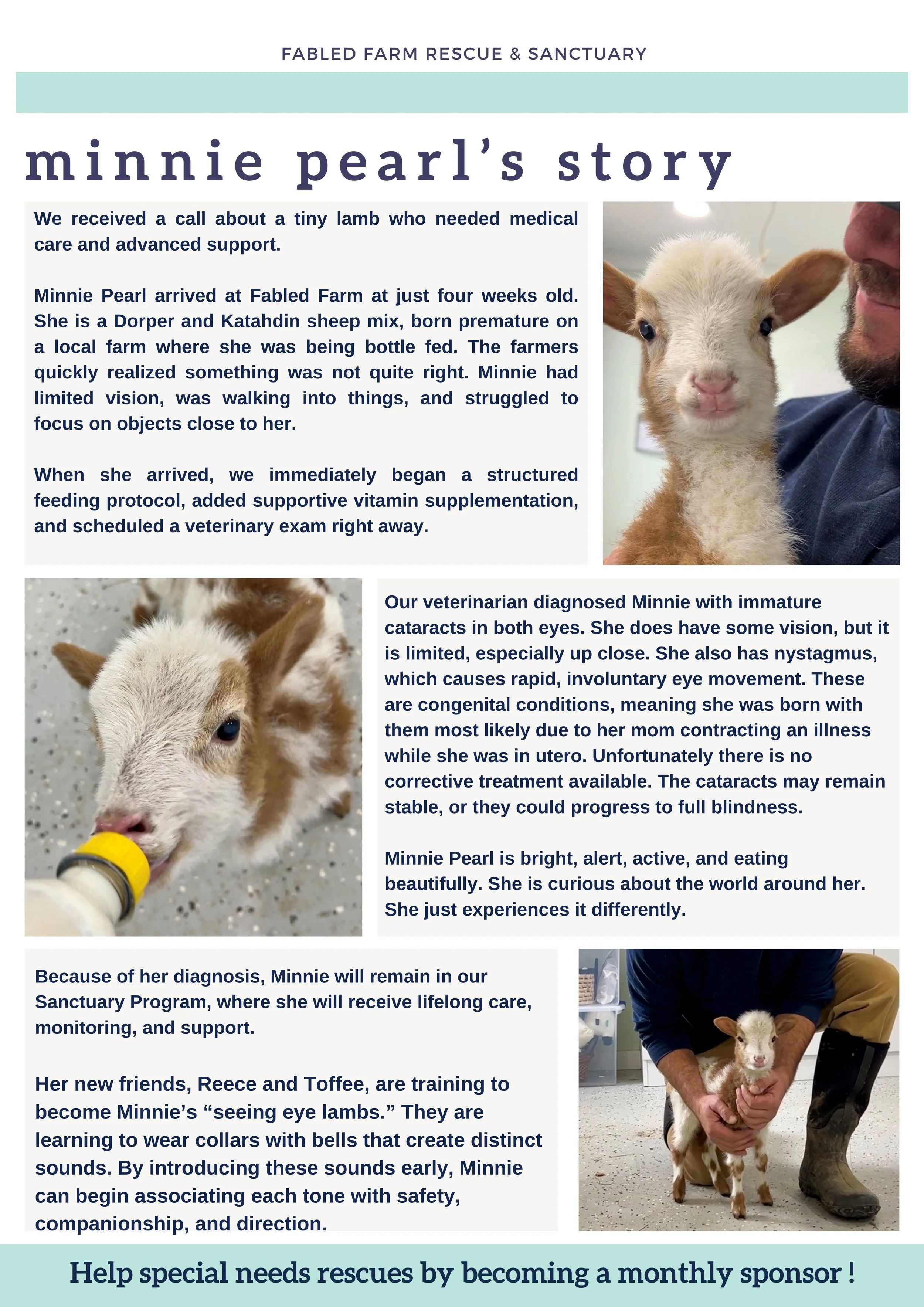 Spring Newsletter