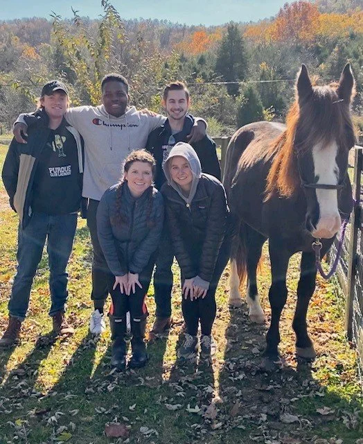 Group of volunteers at Fabled Farm rescue with senior horse, Ritz