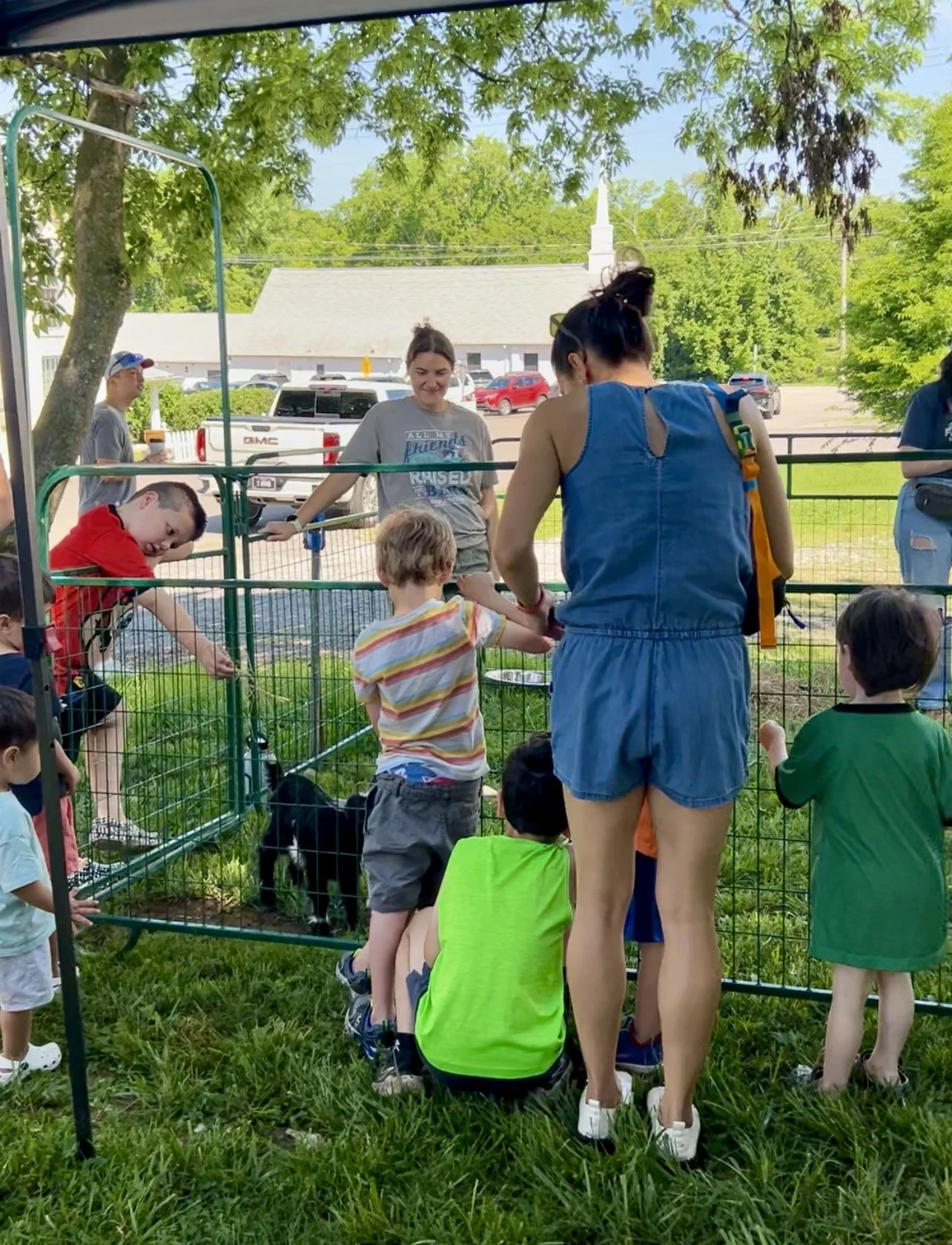 Volunteers working at Fabled Farm Rescue & Sanctuary