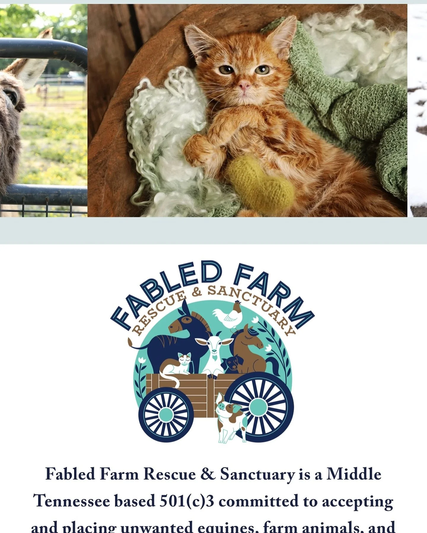 ✨ Our new website is live ✨

We are so excited to share a new home for Fabled Farm Rescue &amp; Sanctuary. This space was built to better tell our story, share the animals you help us say yes to, and show the full picture of rescue and lifelong sanct