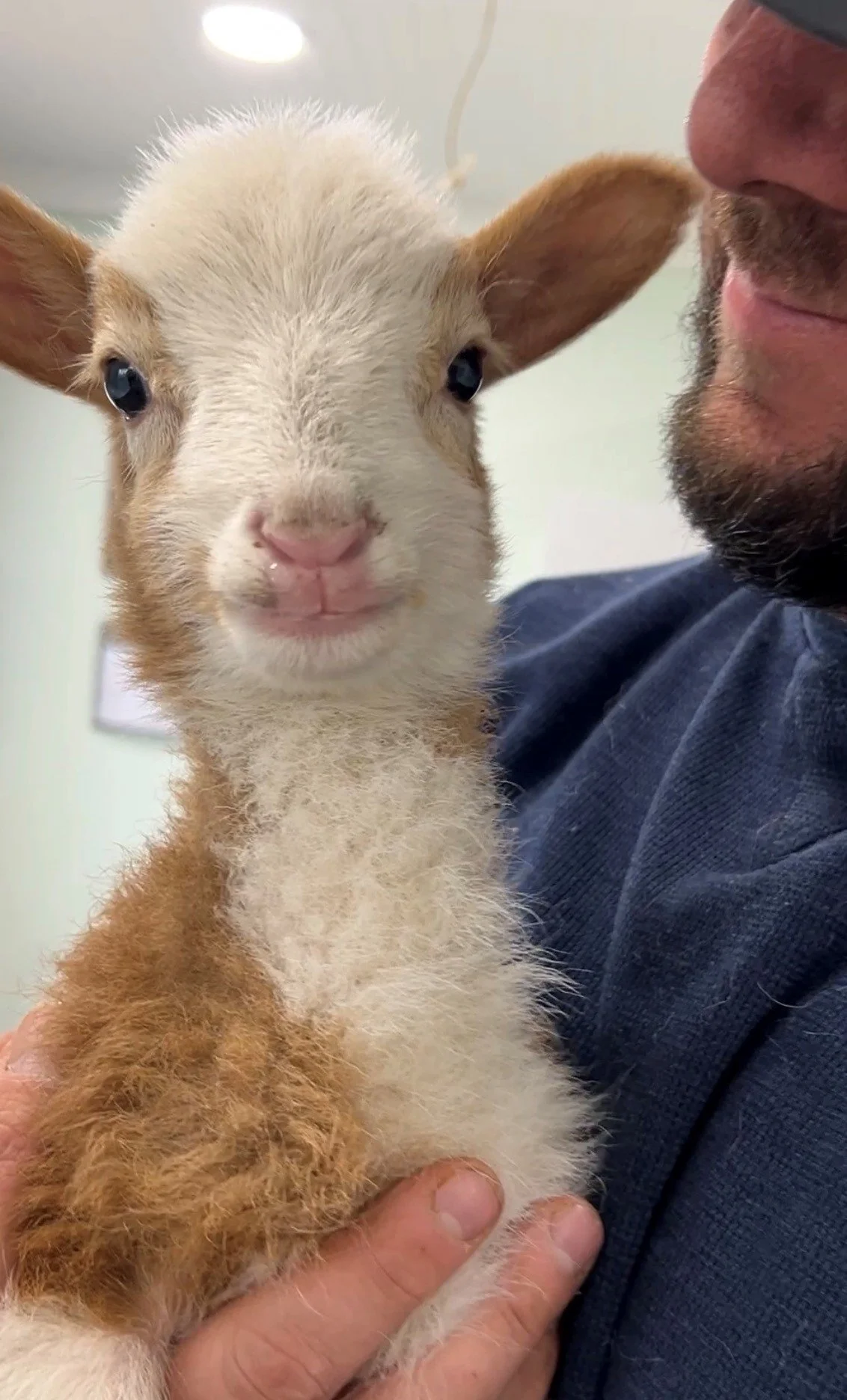 Minie Pearl’s Special Needs Rescue 