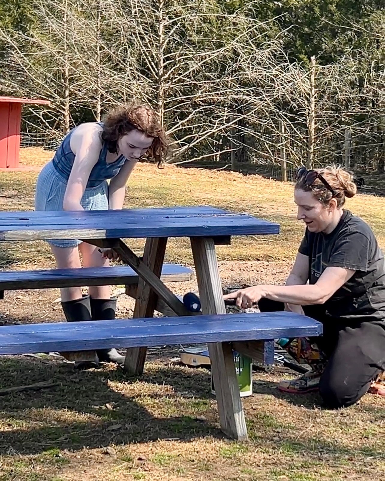 Sunshine, fresh paint, and a whole lot of helping hands ☀️🐾

Today was one of those beautiful farm days where everything comes together. Our incredible volunteers spent the day painting, landscaping, and tackling projects that make this place better