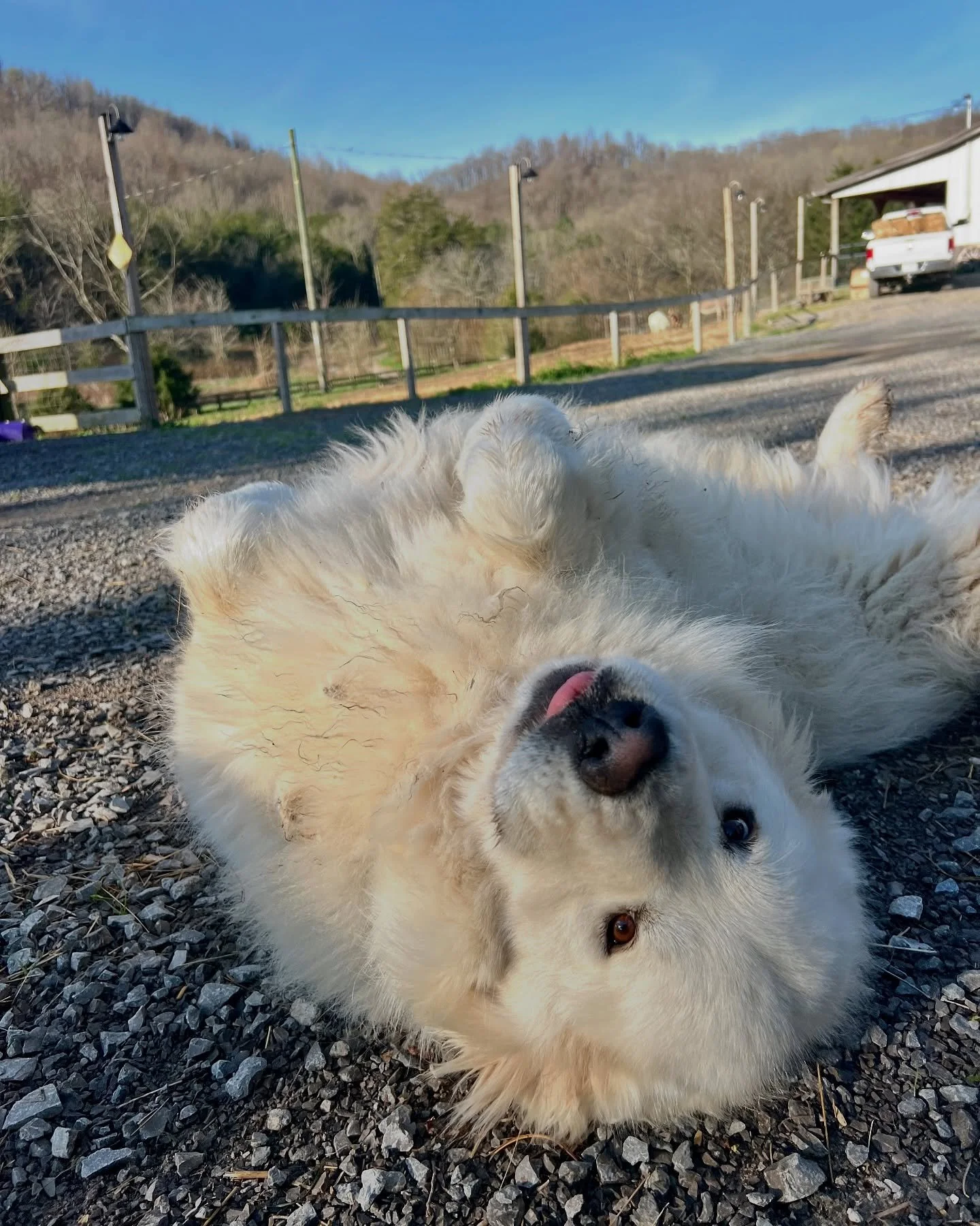 🚨 SCAM WARNING 🚨

This week, we were targeted by a donation scam using the names David and Leslie Buchanan.

At first, everything looked completely legitimate. The emails were polite, detailed, and aligned with what we often see from real donors. A