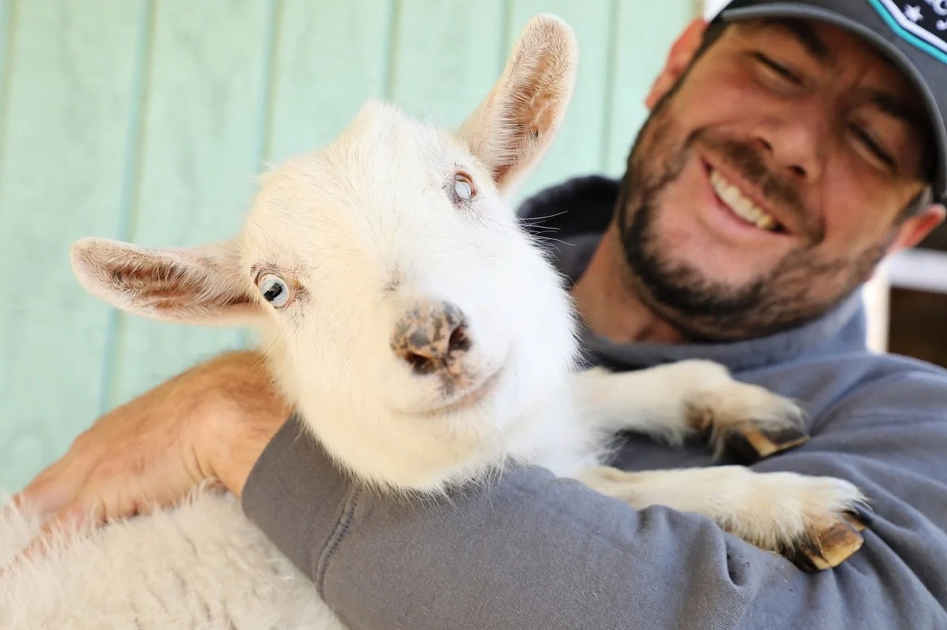 Today we said goodbye to our sweet Cotton Candy, one of the very first animals in our rescue program and one of the most special souls we have ever known.

When Cotton came to us, we were never quite sure of her age, but we knew she had already lived