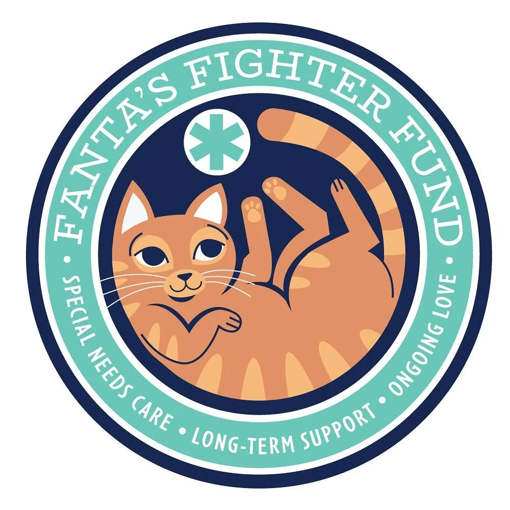 🧡Introducing Fanta&rsquo;s Fighter Fund 🧡

Some animals need more than rescue.

They need ongoing therapy. Specialist care. Adaptive equipment. Daily support. Patience. Time. And people willing to keep showing up for them every step of the way.

Fa