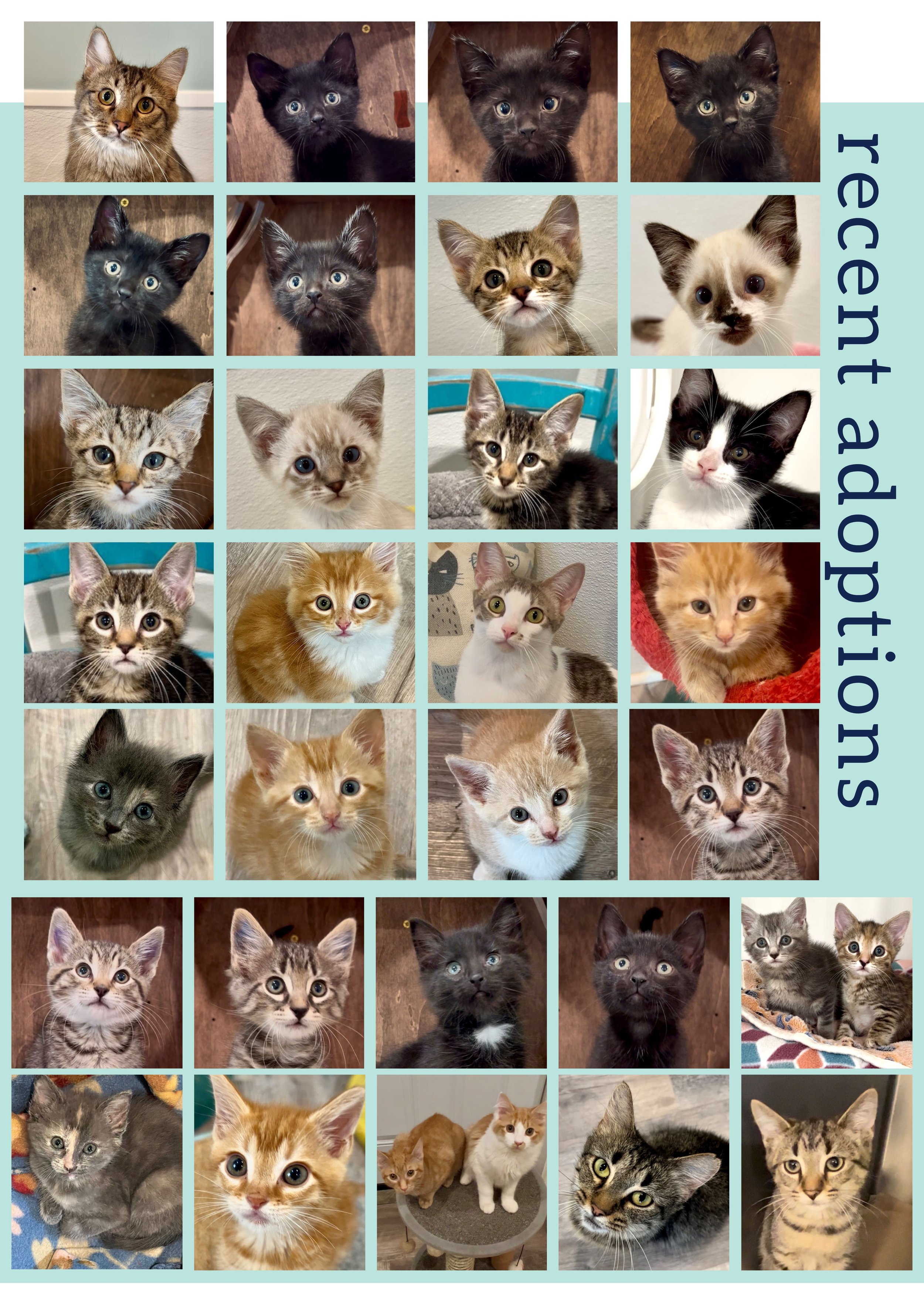 Fabled Farm Summer Newsletter 2025