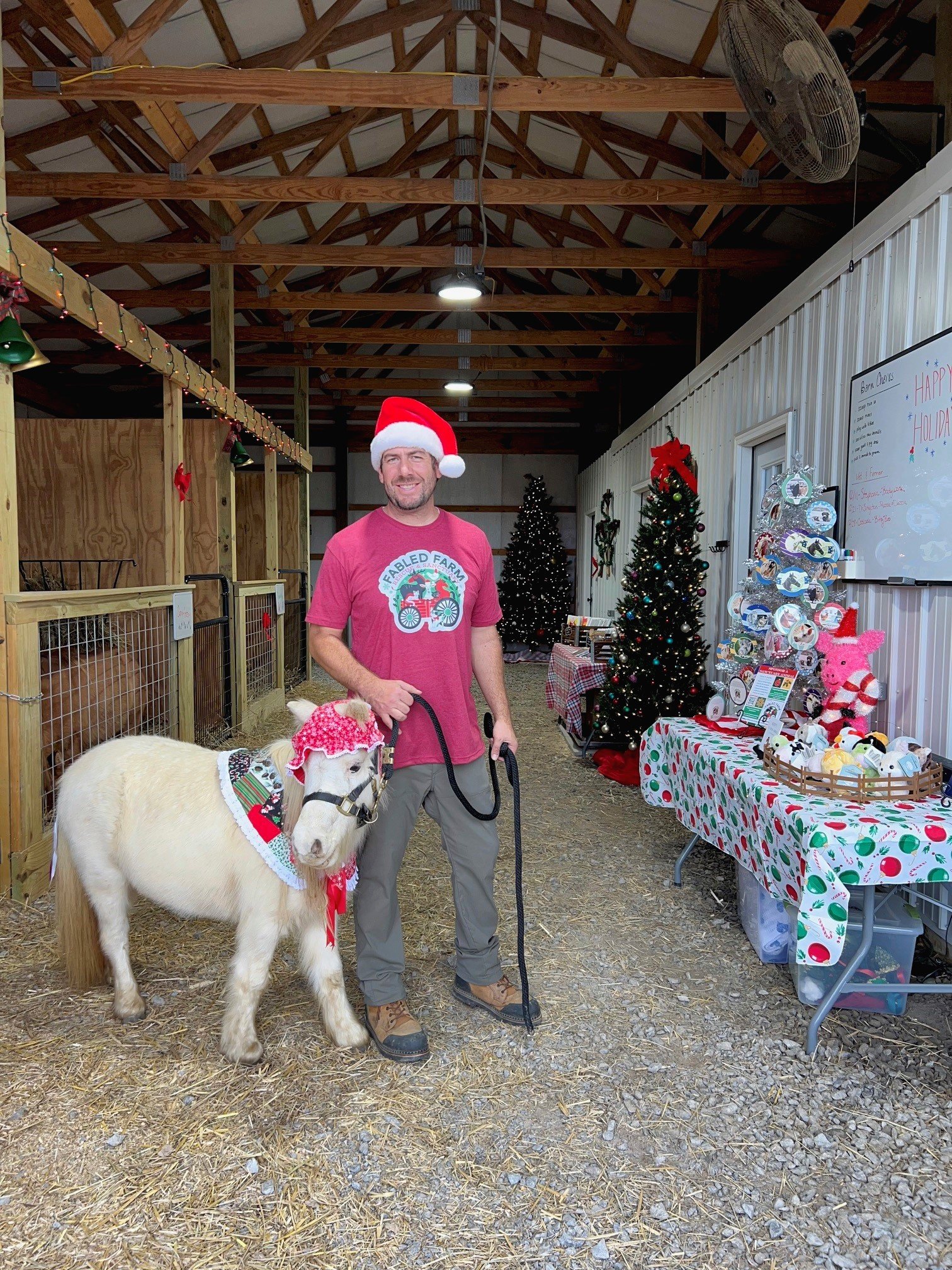 Rescued mini horse Fabled Farm Rescue and Sanctuary