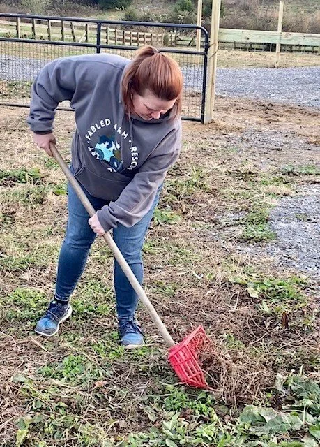 Volunteers working at Fabled Farm Rescue & Sanctuary
