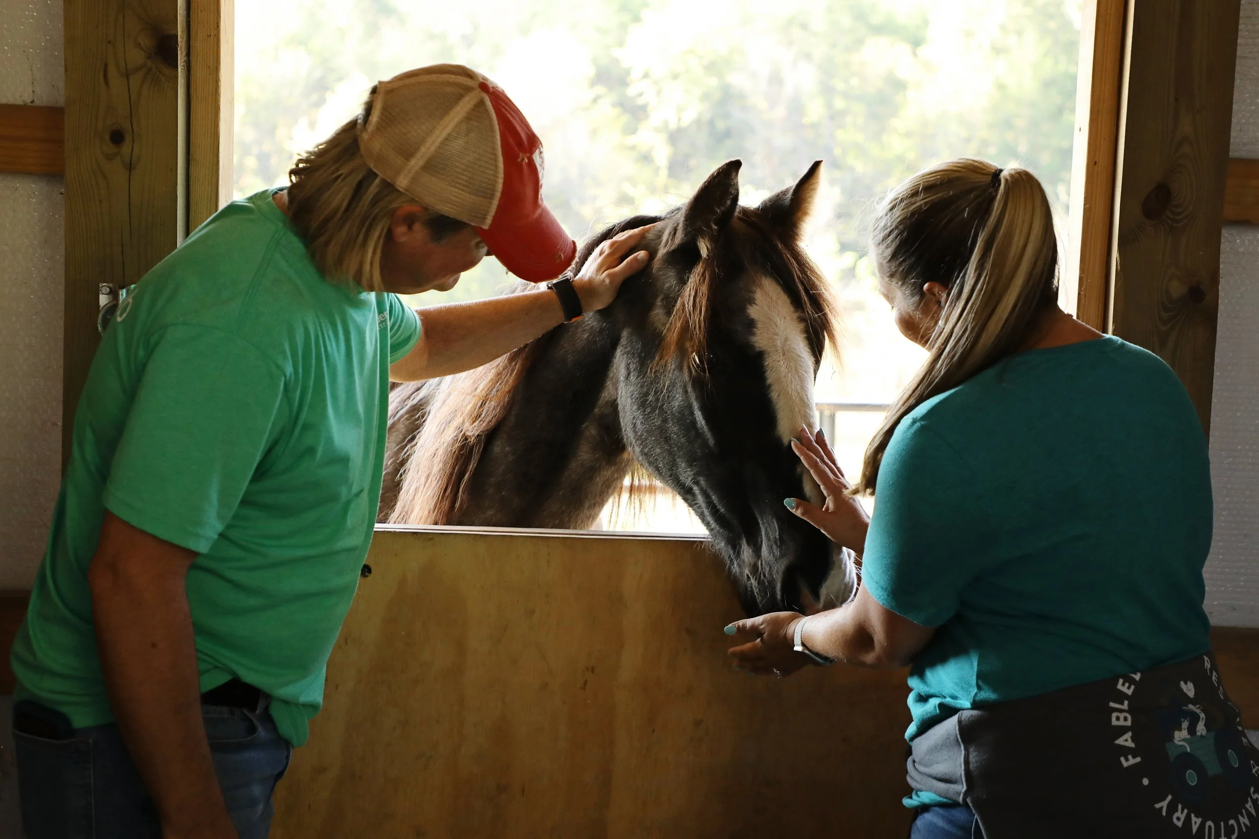 Volunteers working at Fabled Farm Rescue & Sanctuary