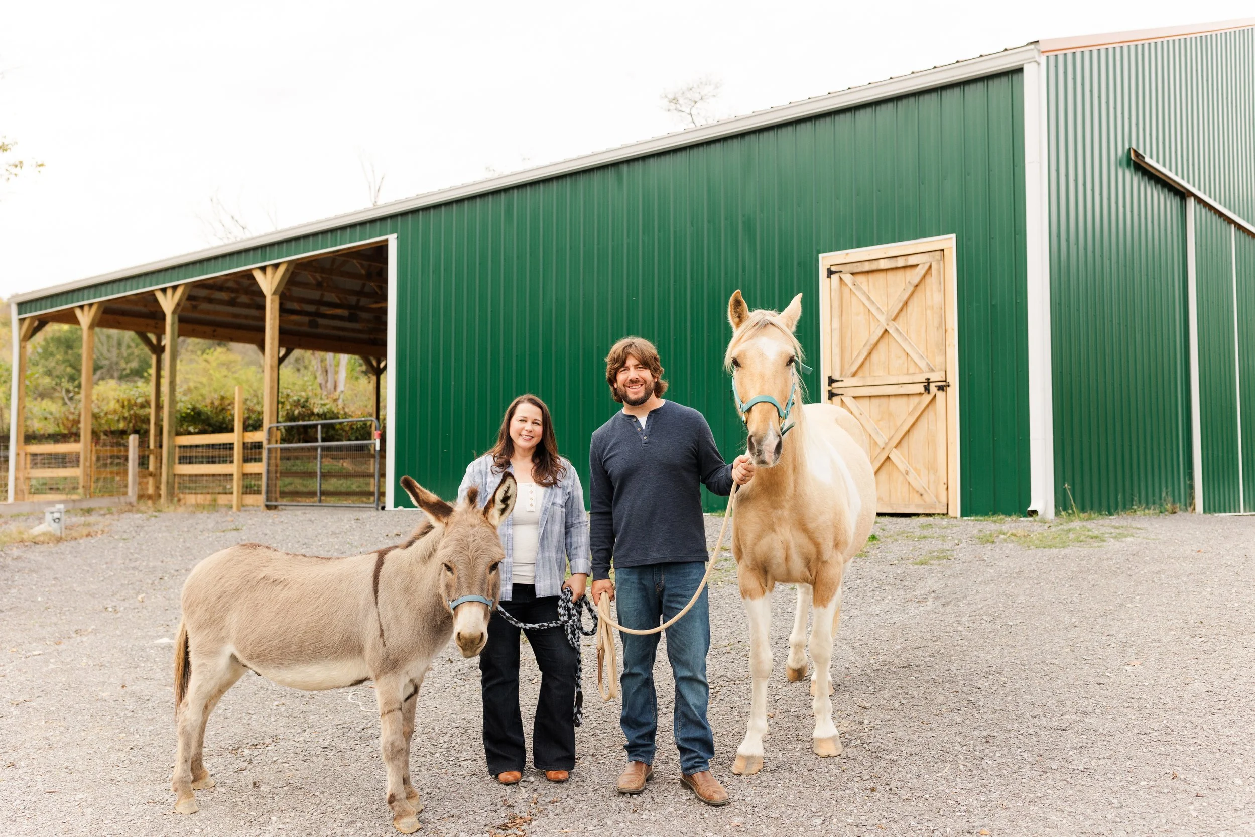 Rescued donkey and horse at Fabled Farm Rescue and Sanctuary