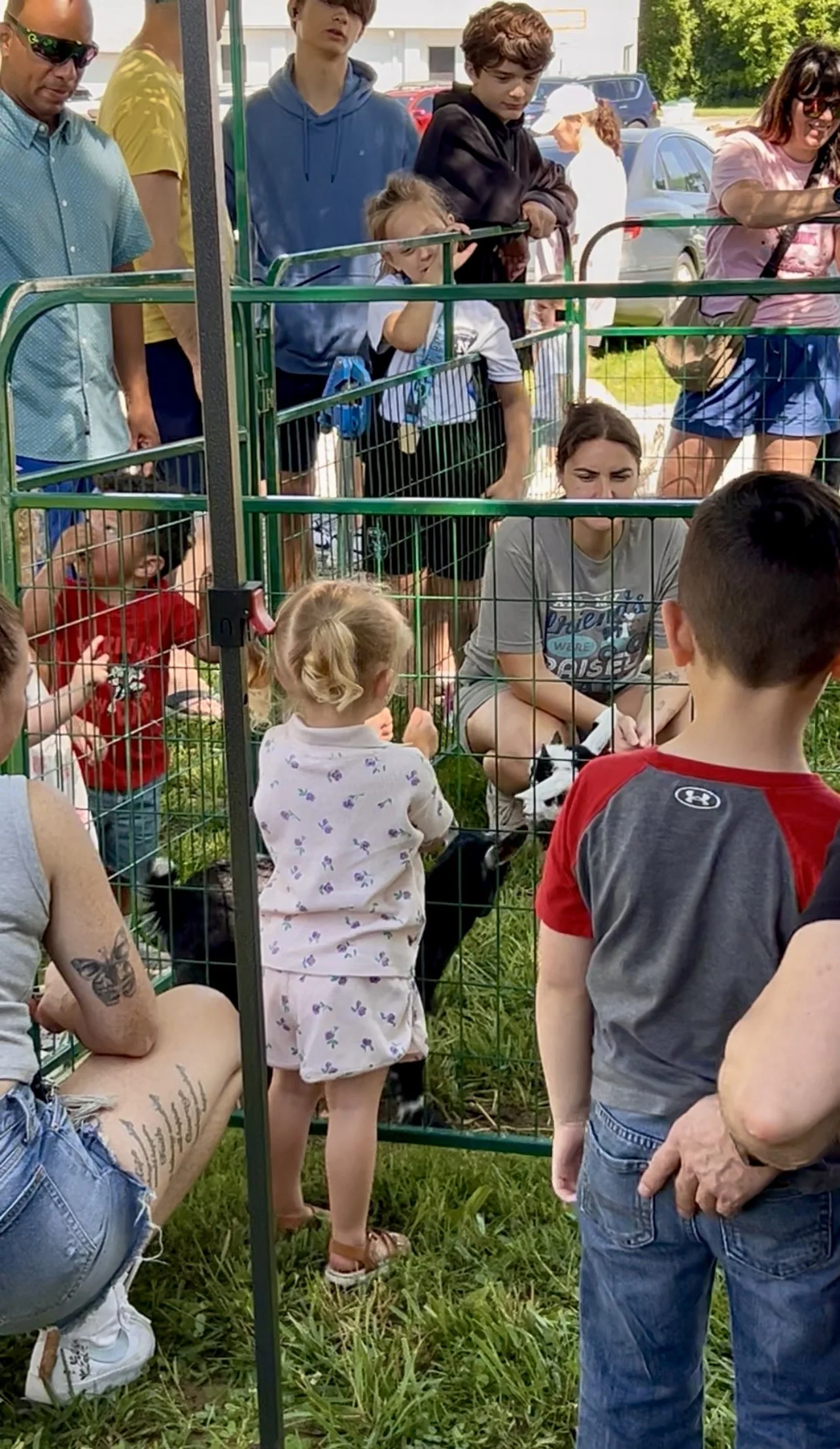 Volunteers working at Fabled Farm Rescue & Sanctuary