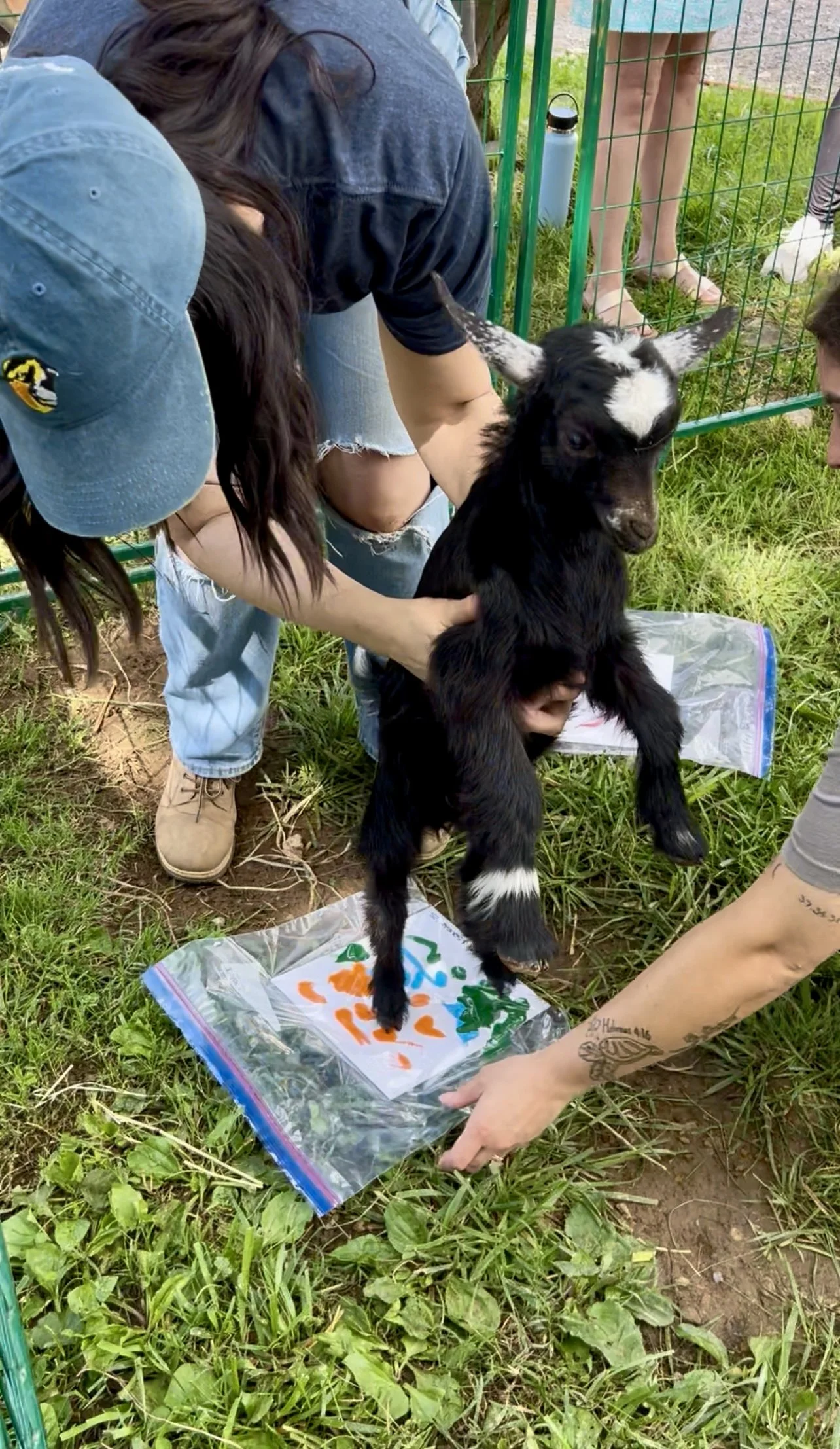 Volunteers working at Fabled Farm Rescue & Sanctuary