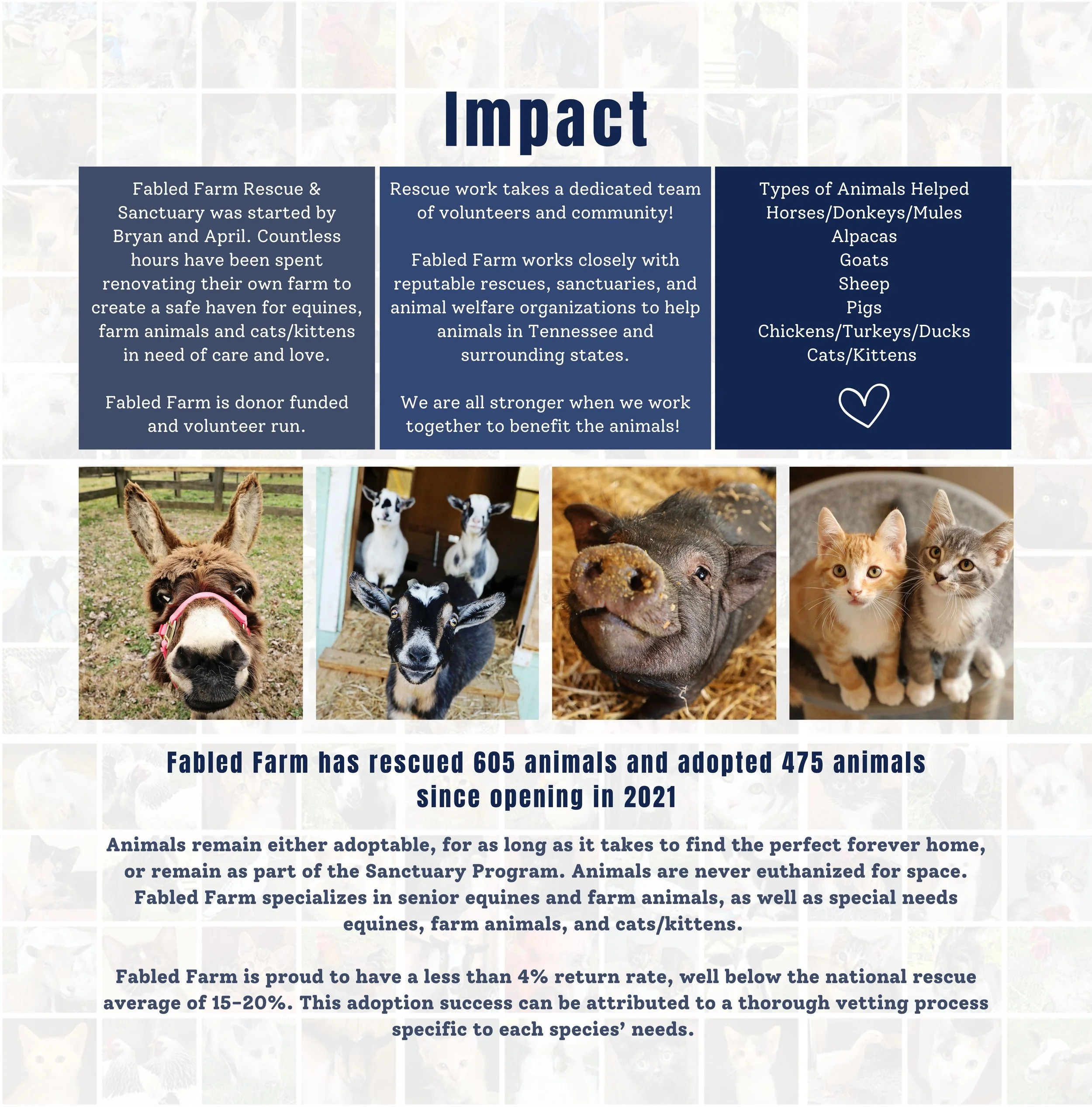 Fabled Farm Winter Newsletter 2025