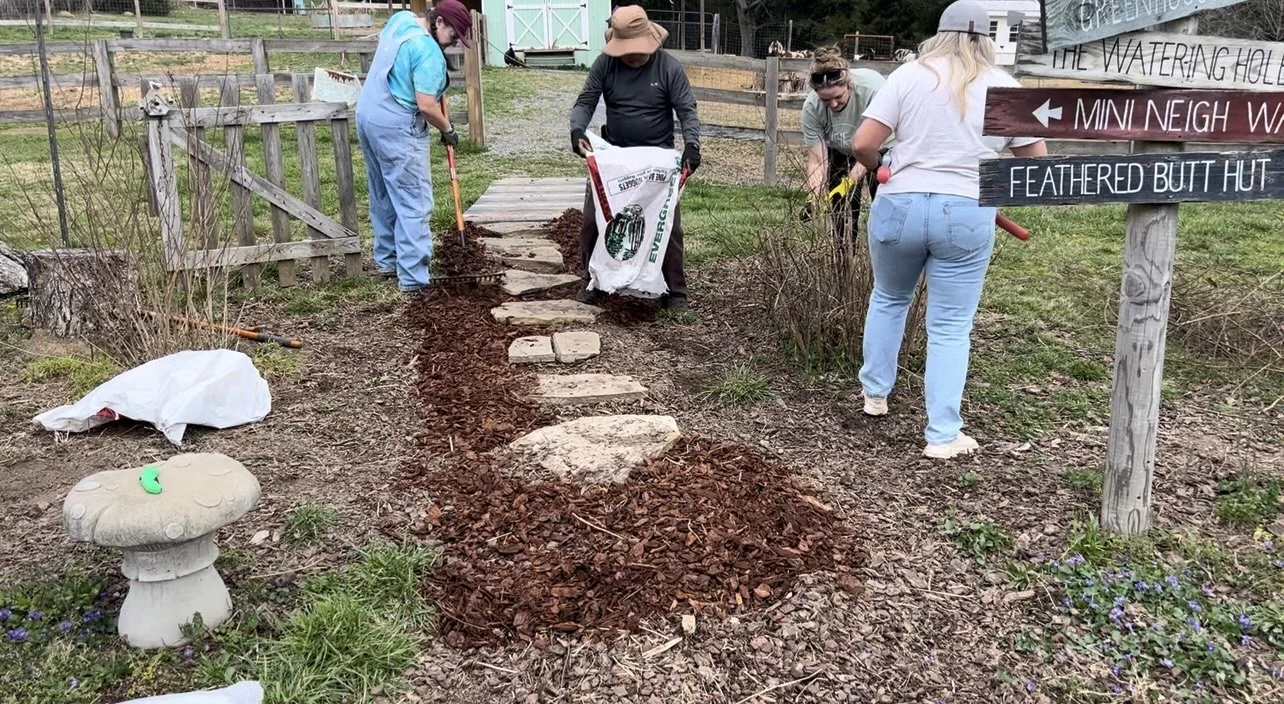 Volunteers working at Fabled Farm Rescue & Sanctuary