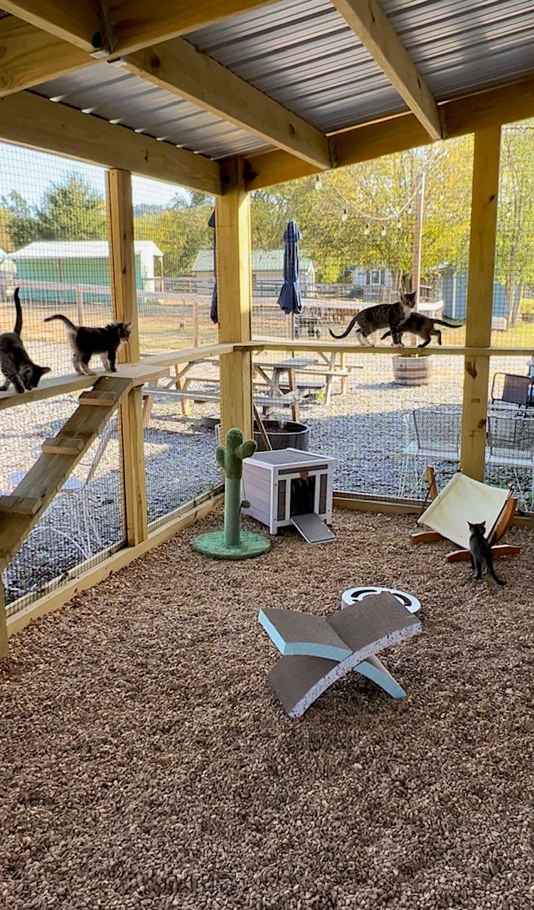 Outdoor catio at Fabled Farm