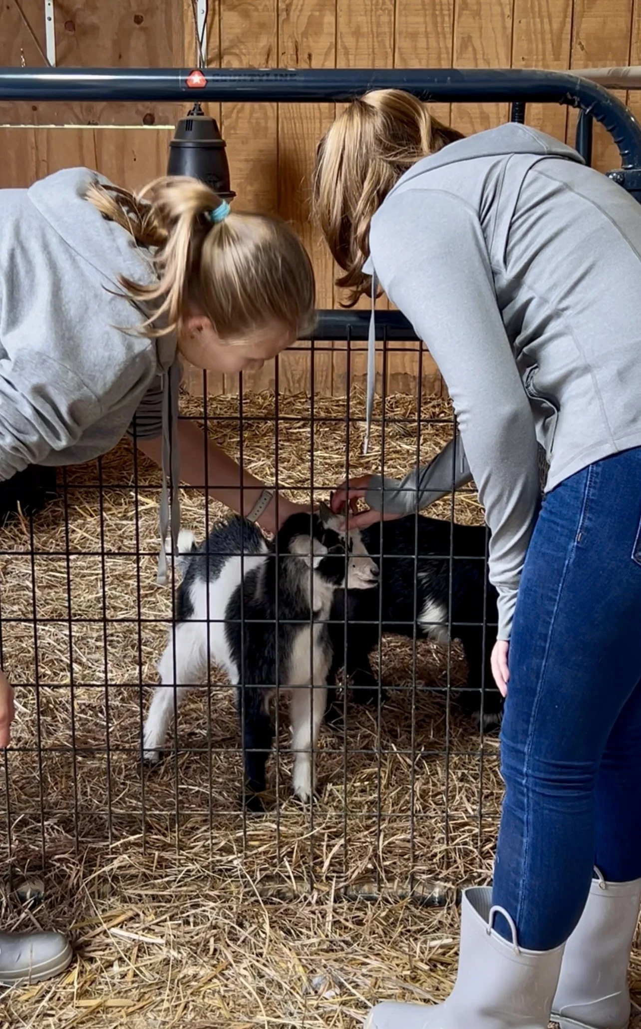 Volunteers working at Fabled Farm Rescue & Sanctuary