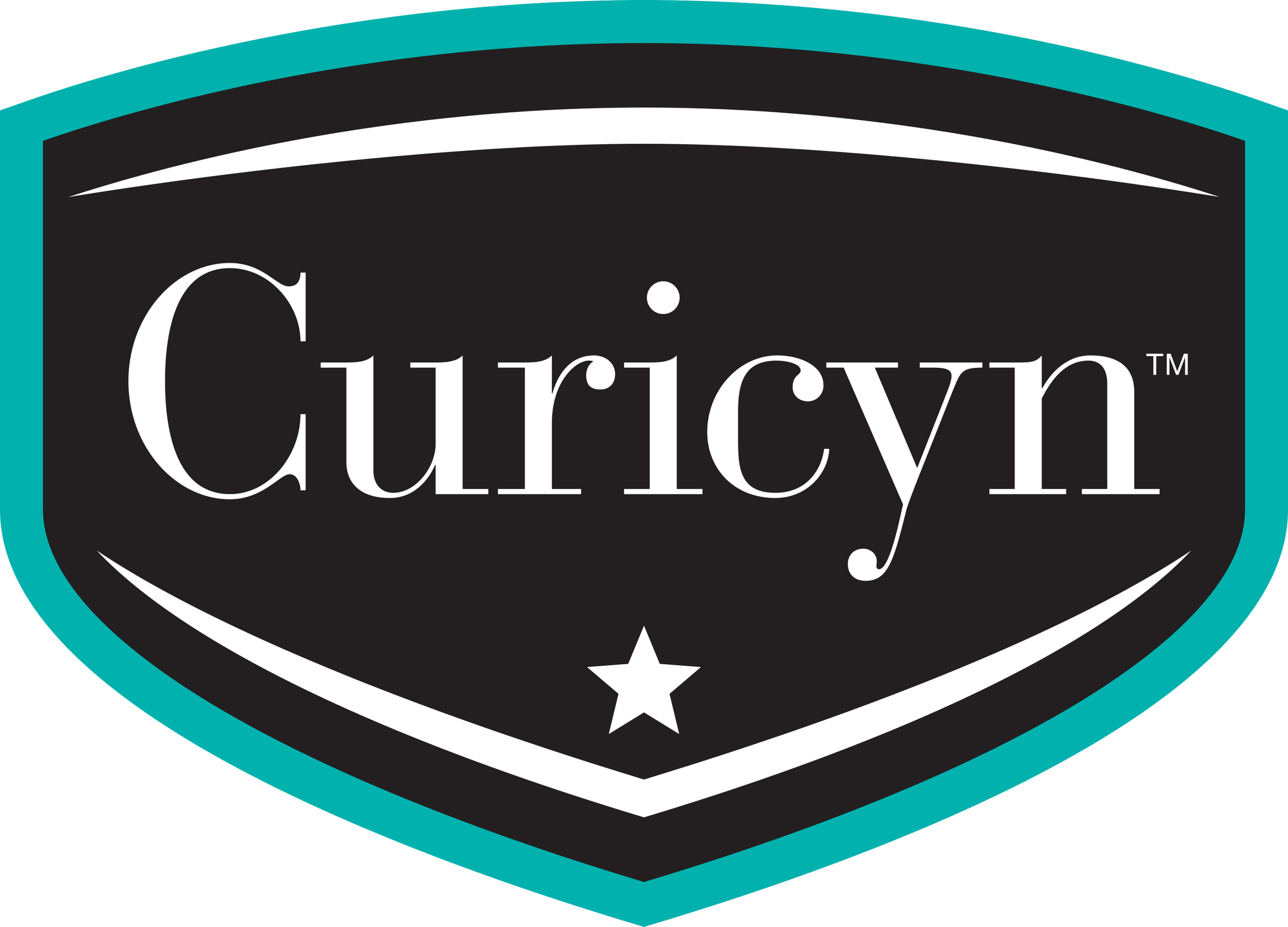 A logo with the word 'Curiyn' in white text inside a black shield-shaped badge with teal and white borders, and a small white star below the name.