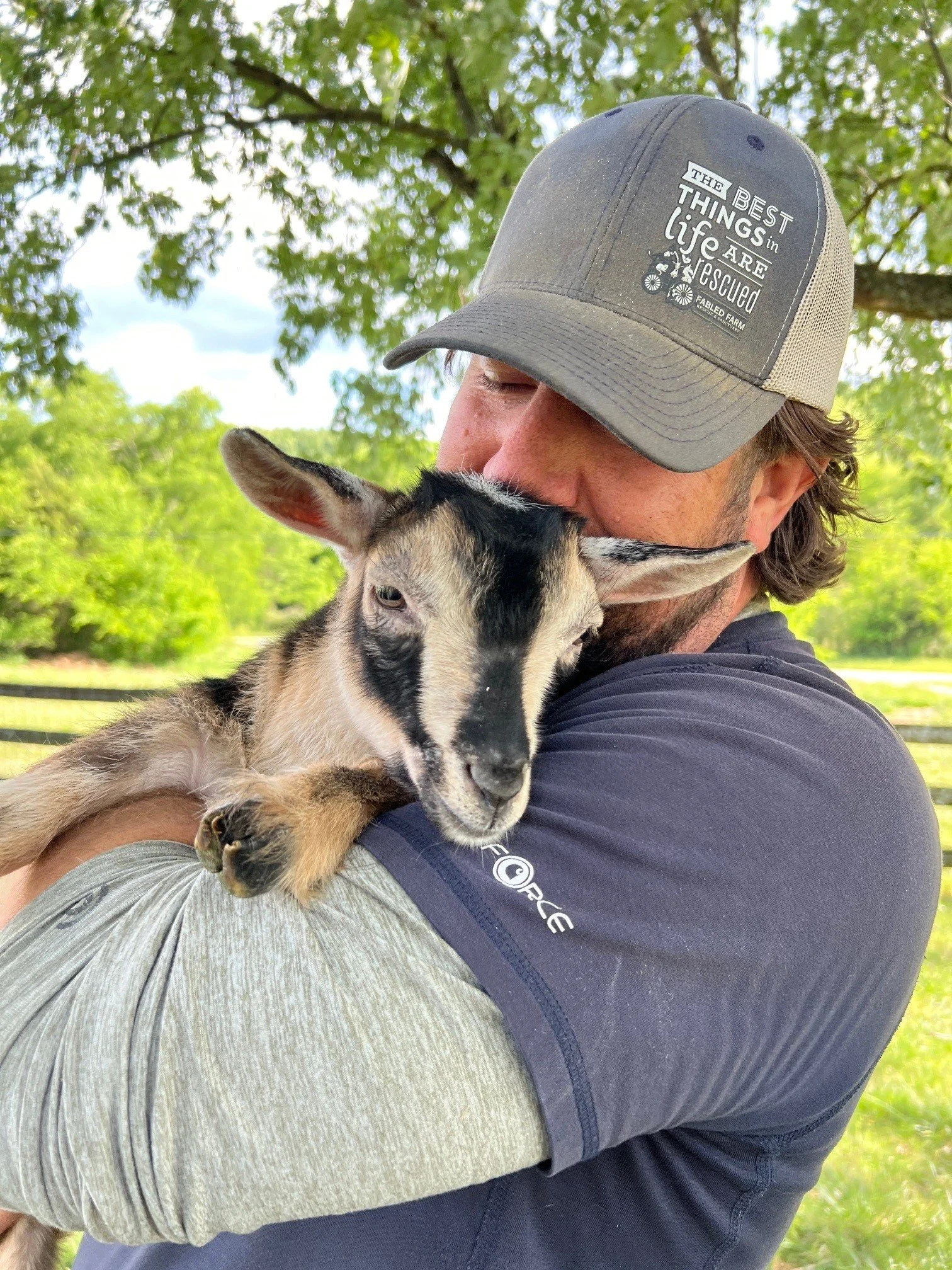 Adoptable goats