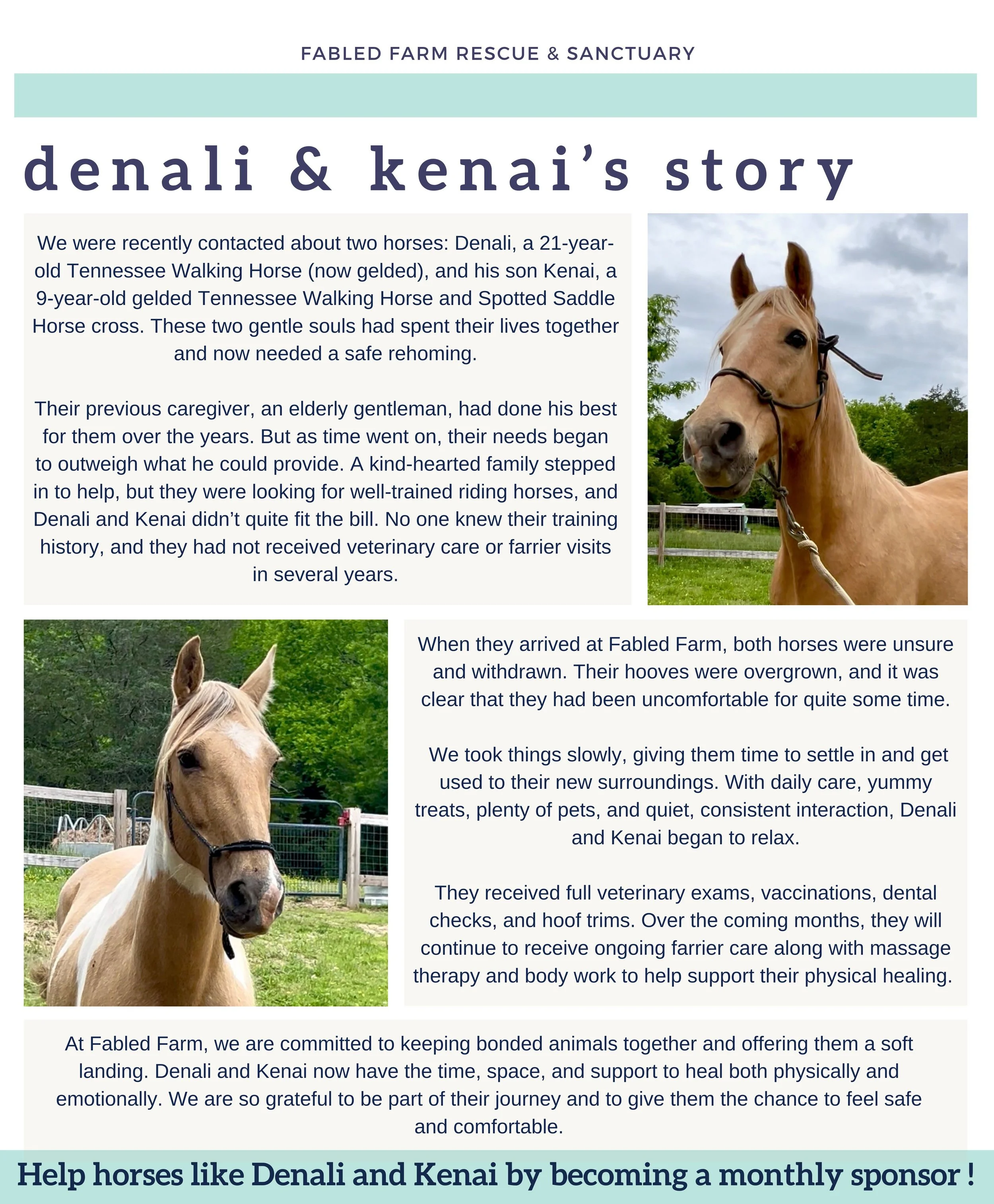 Fabled Farm Summer Newsletter 2025