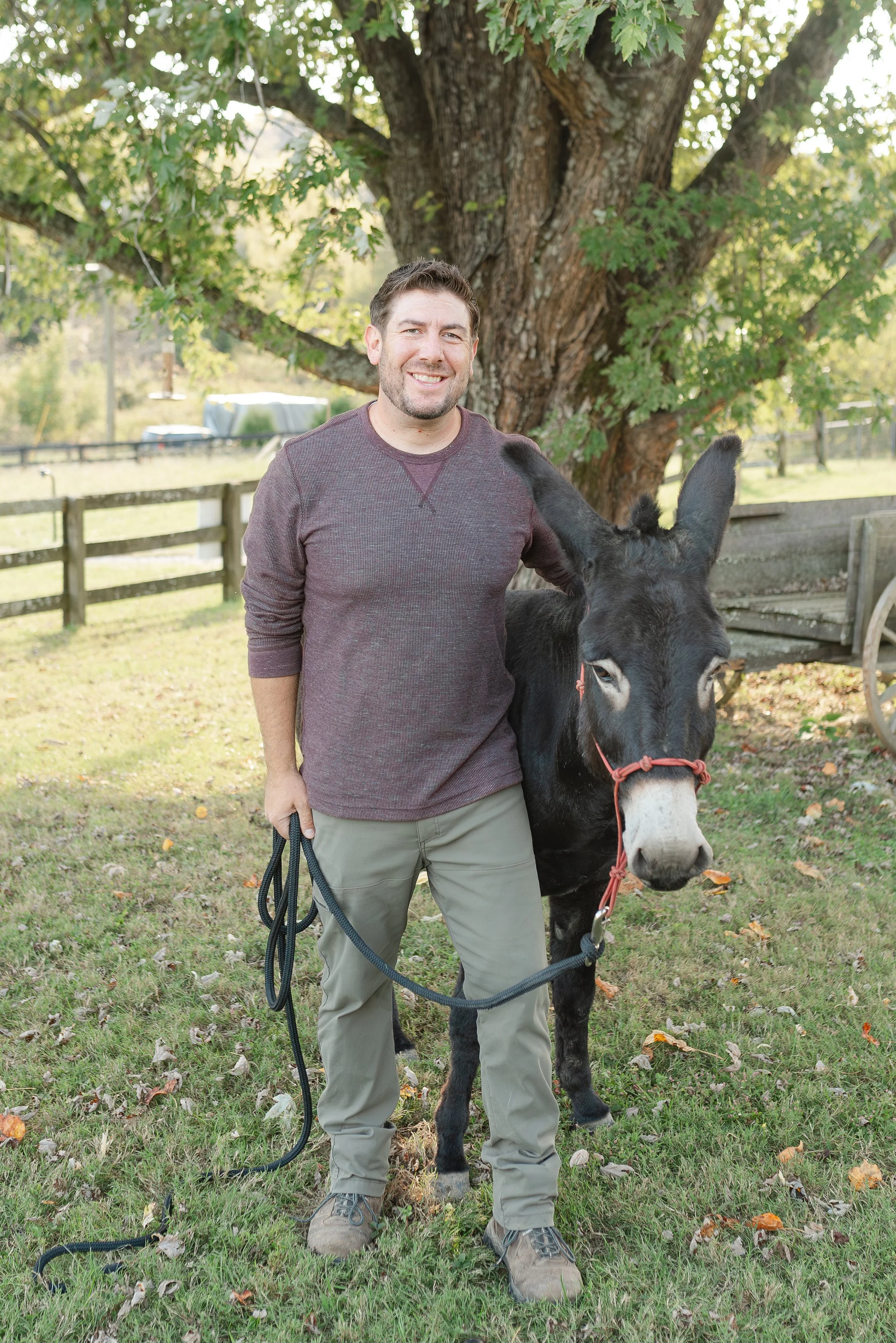 Rescued donkeys Fabled Farm Rescue and Sanctuary