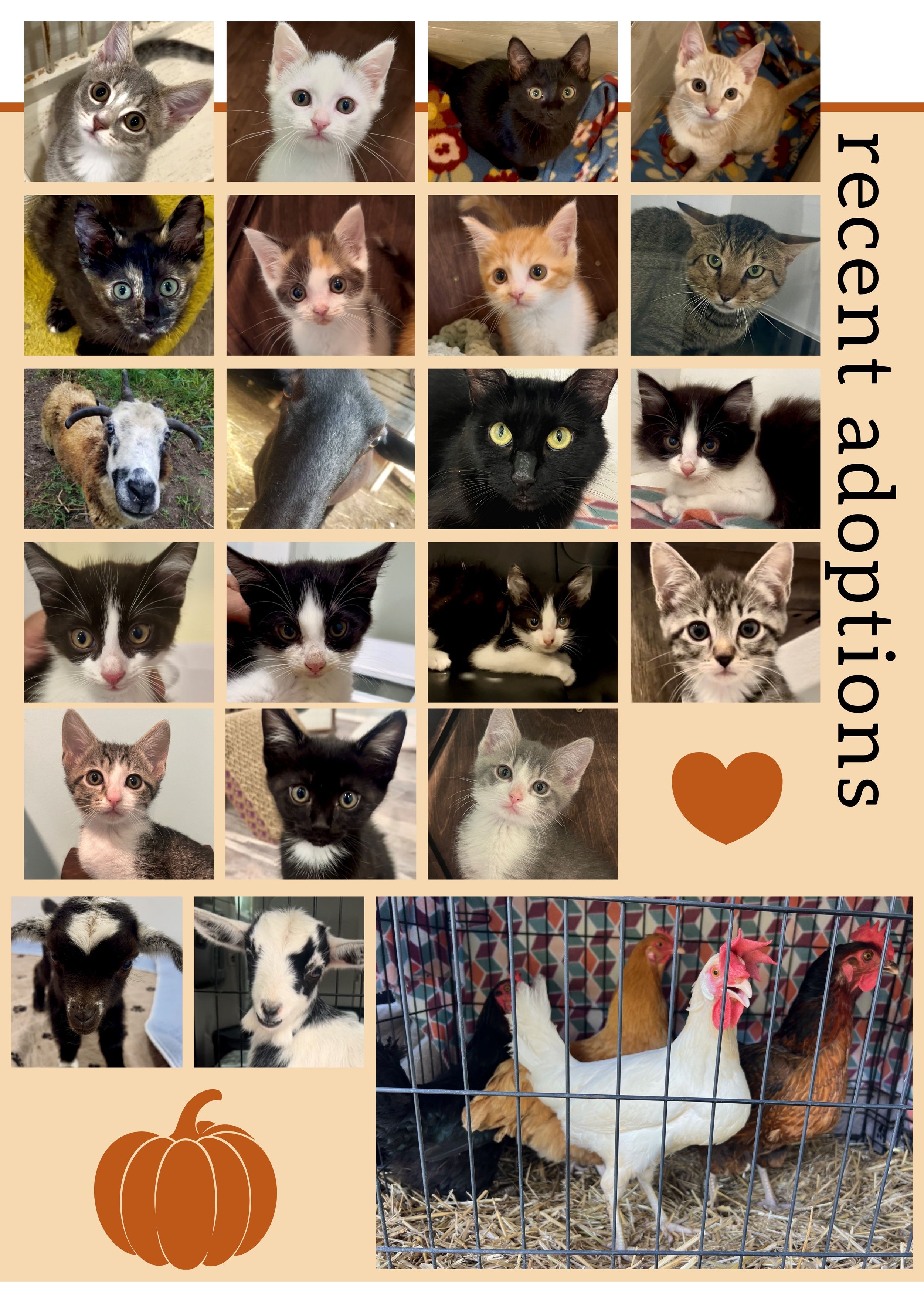 Fabled Farm Fall Newsletter 2025