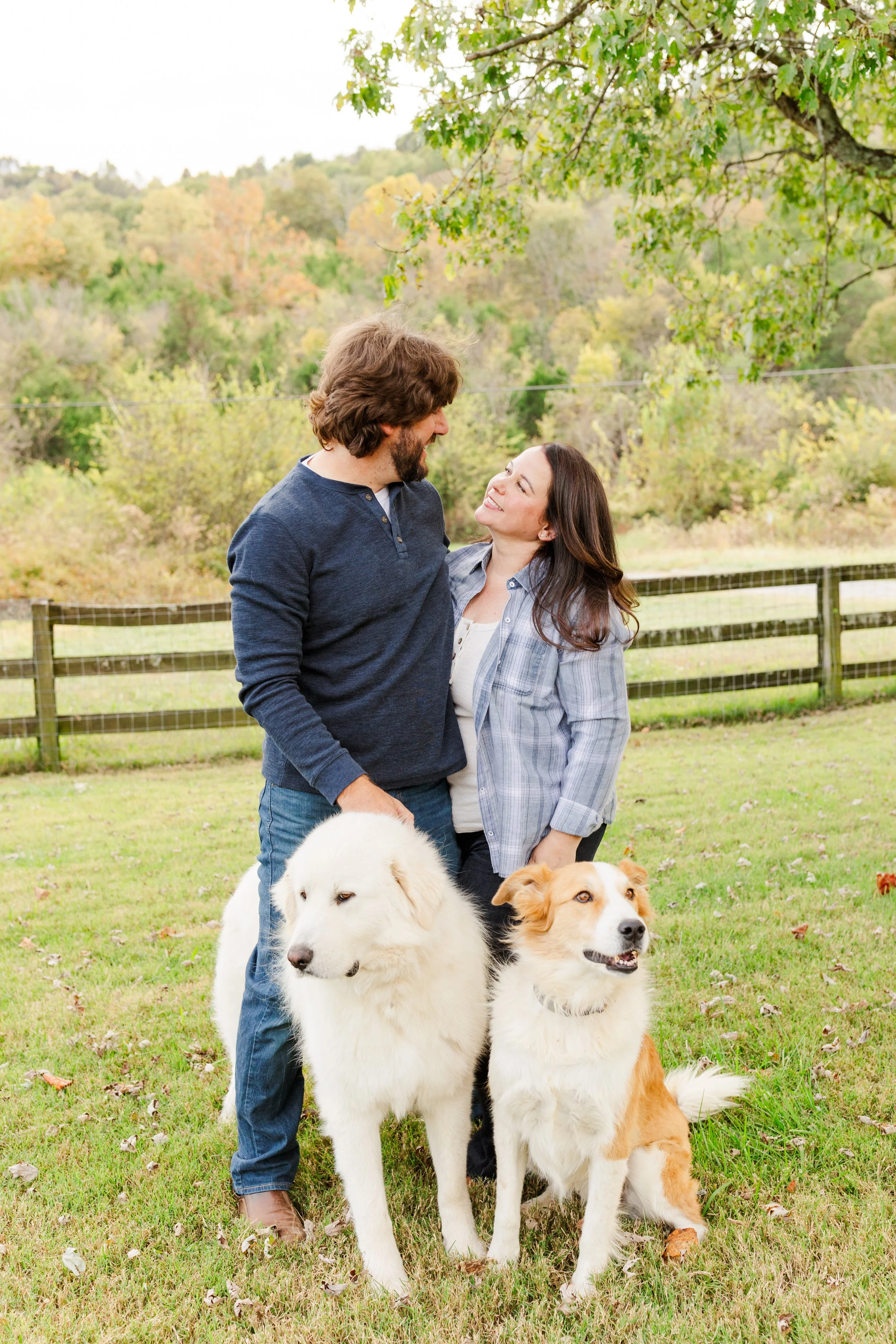 Working farm dogs at Fabled Farm Rescue & Sanctuary