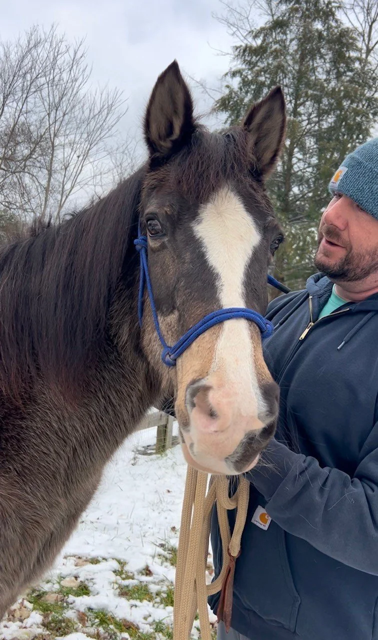 Rescue horse at Fabled Farm Rescue and Sanctuary