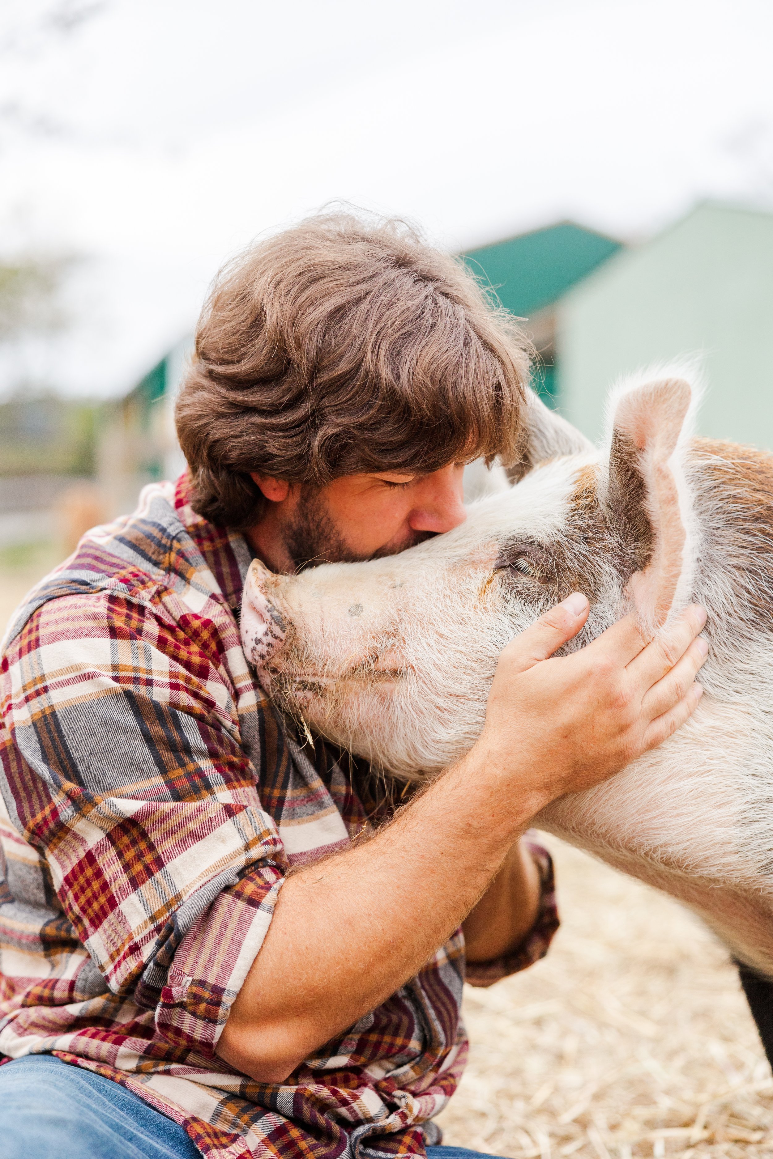 Rescued special needs pig at Fabled Farm Rescue & Sanctuary