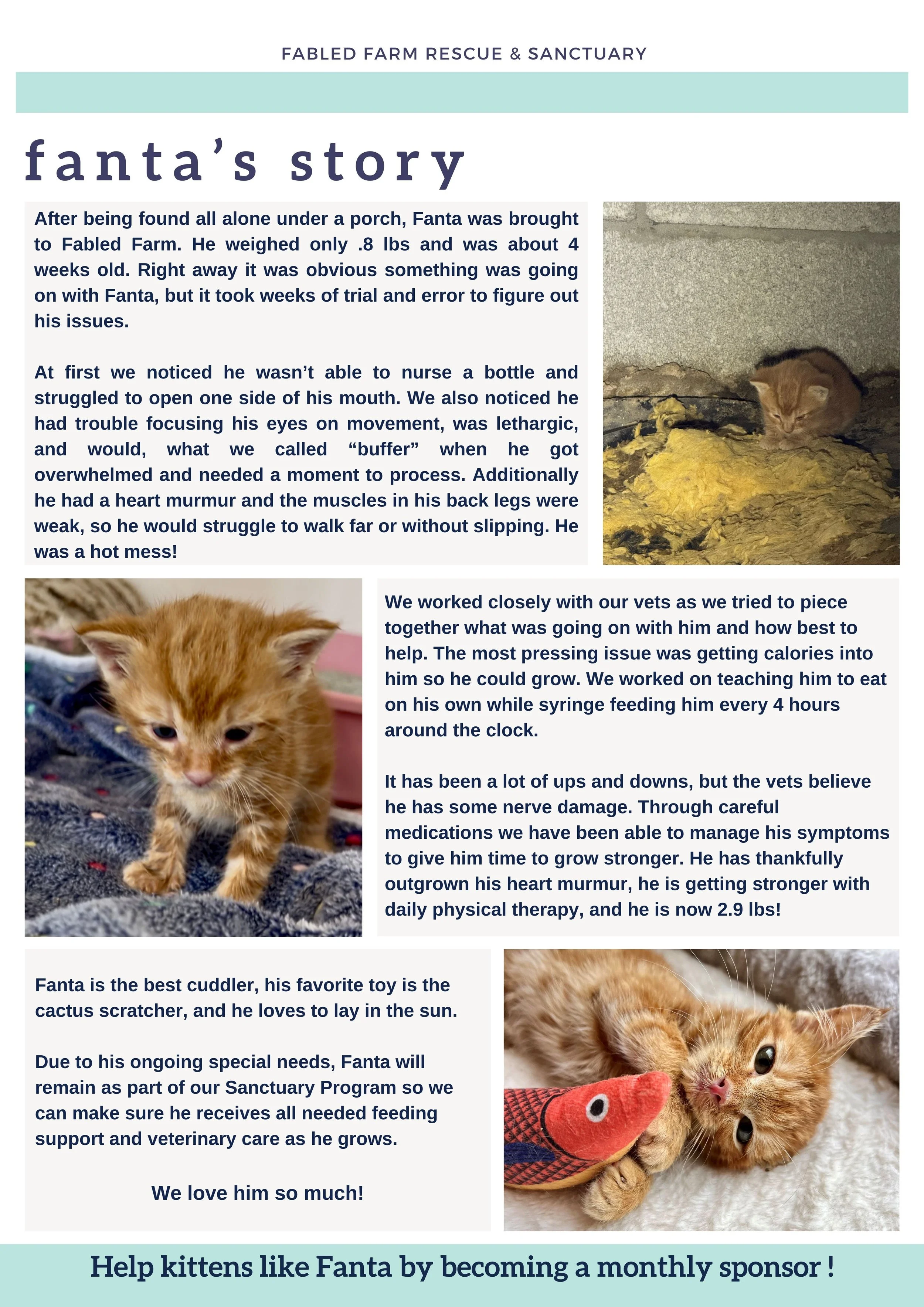 Fabled Farm Winter Newsletter 2025