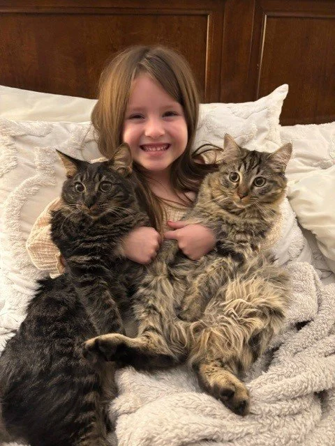 Adopted cats with child