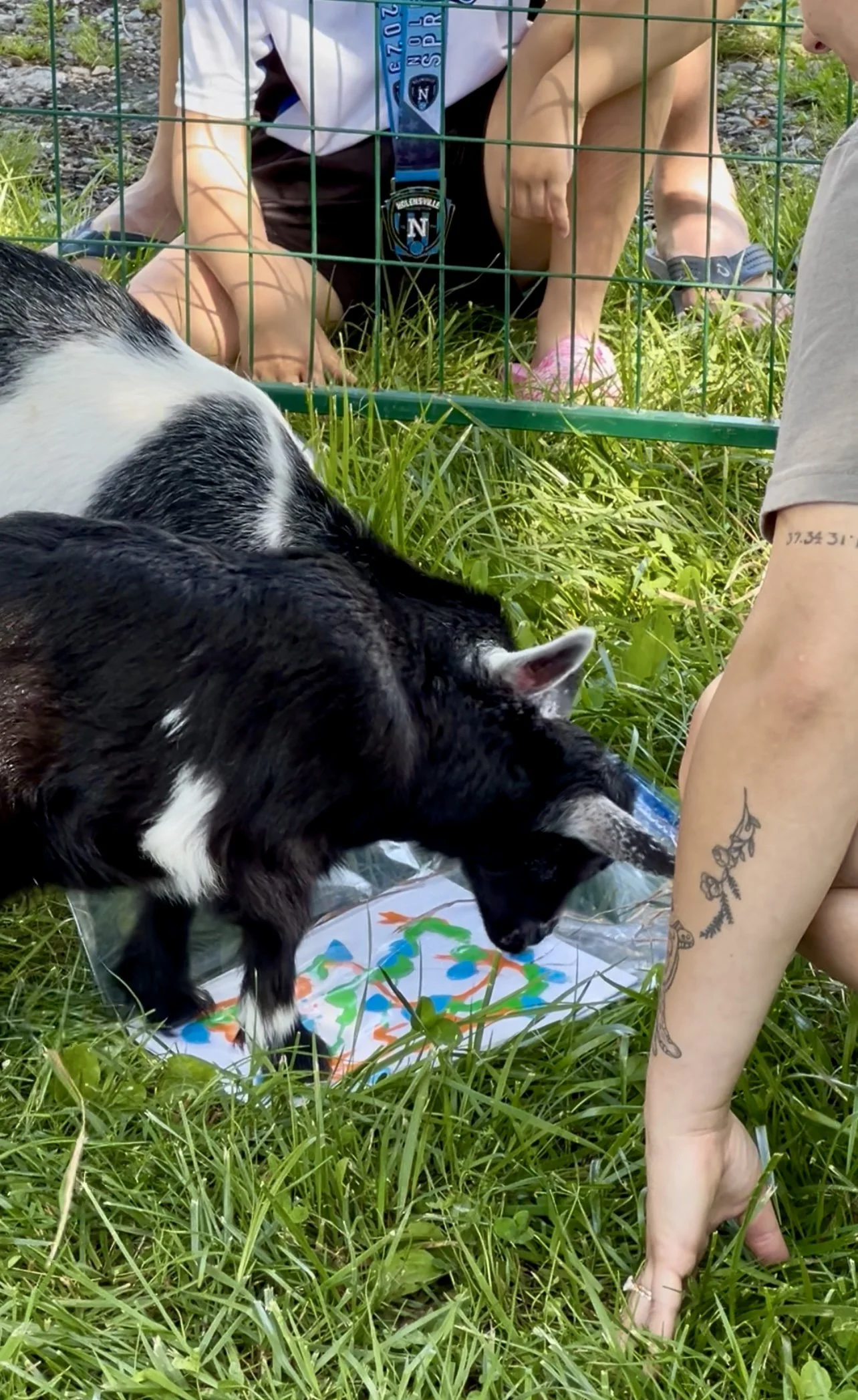 Volunteers working at Fabled Farm Rescue & Sanctuary