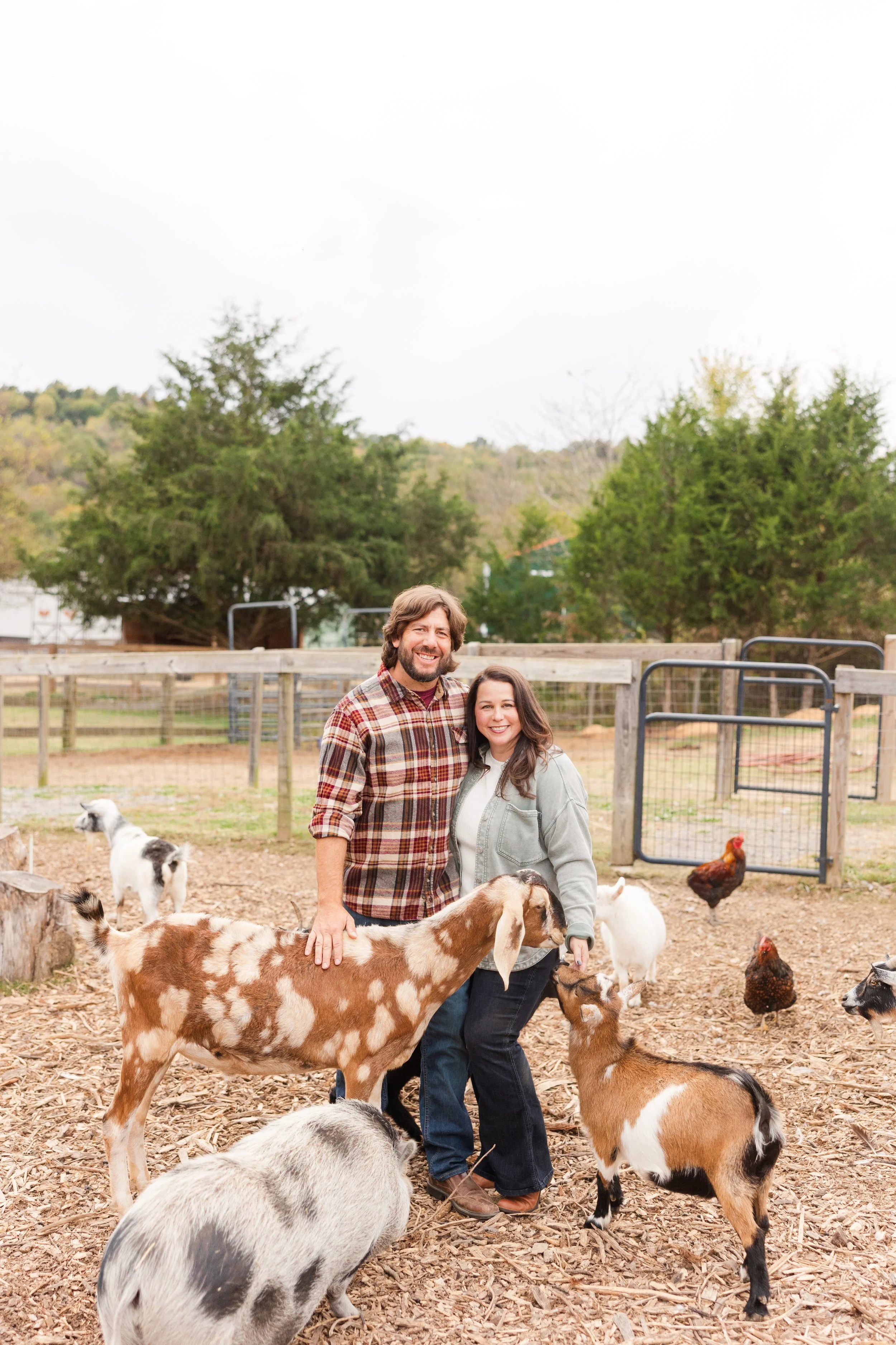 So You Want to Start a Sanctuary?