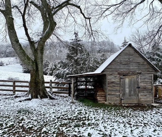 Snow on woodshed